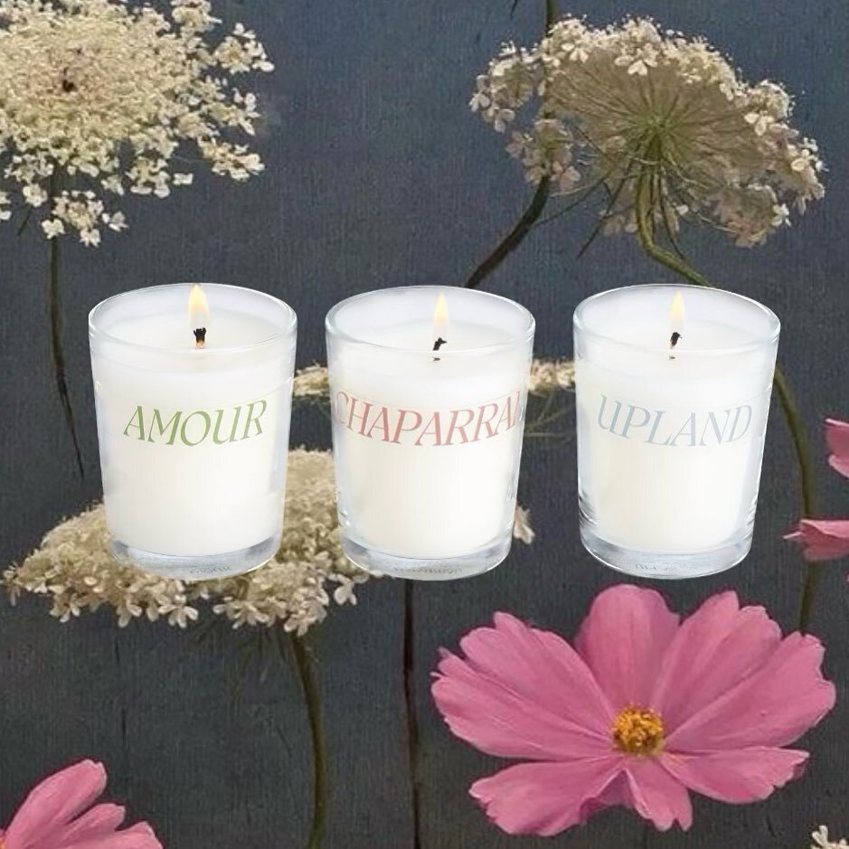 Love is in the air 🌷 why pick one scent when you can have all three 💕

The votive trio available online.