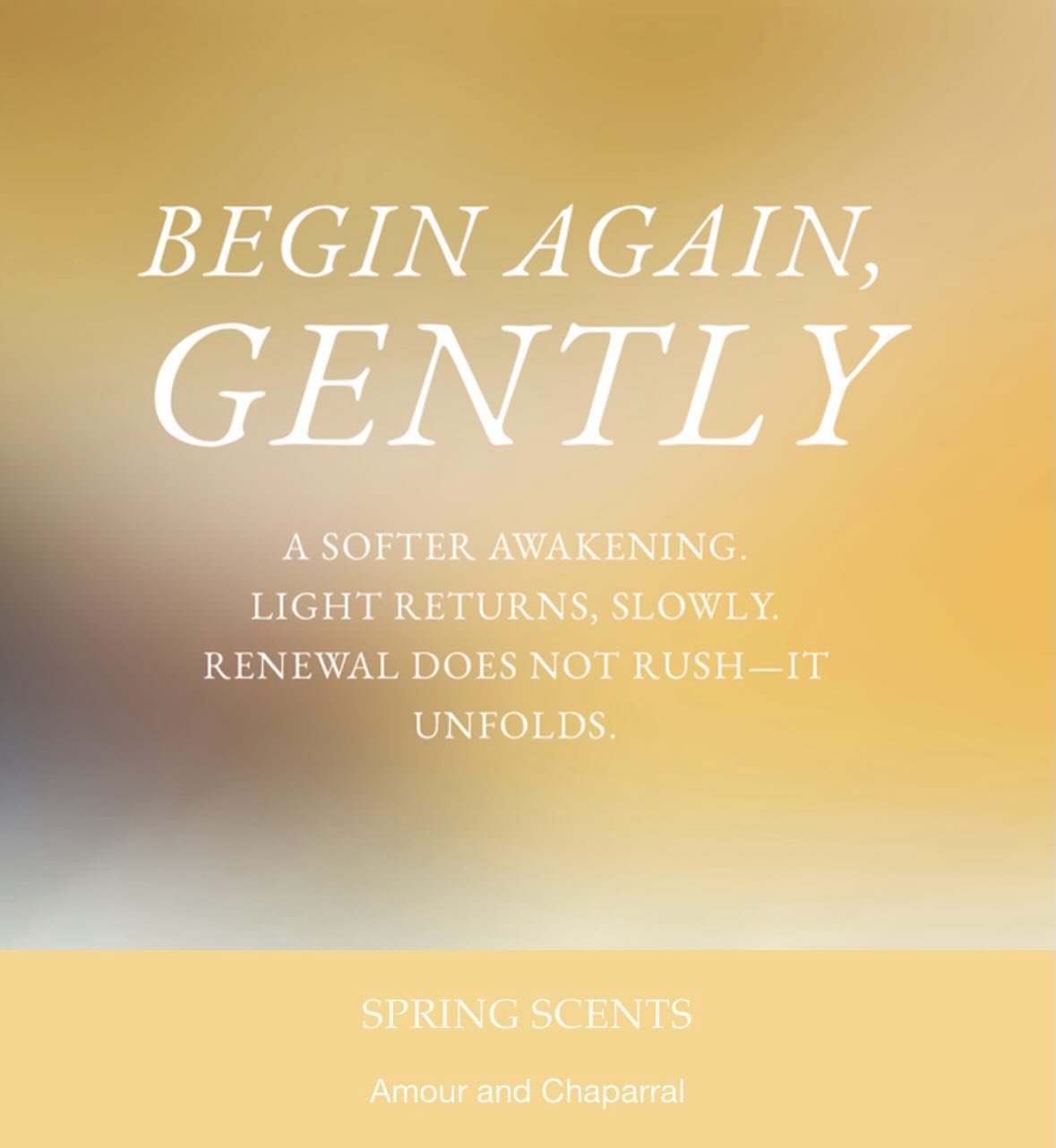 Spring is in the air and two candles are must-haves. Amour and Chaparral offer a refreshing spring awakening to find yourself and stay grounded in shifting seasons. 

#amour #chaparral #spring #luxurycandles