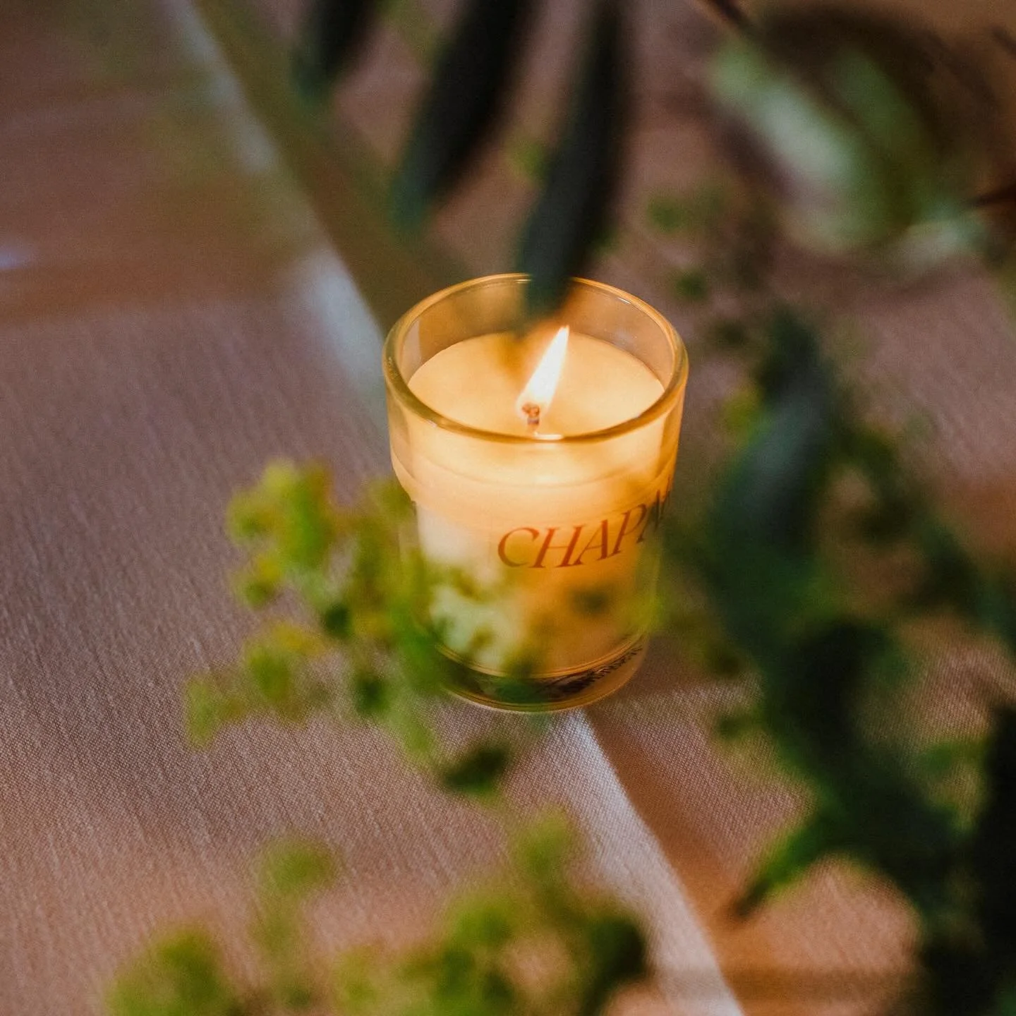 The scent of chaparral after warmth 🌾
green stems, dry hillsides, something softly untamed.
lit on the table, it brings the outside in.
spring, held in a single flame.

#chaparral #scent #scentasfrequency #ambersakai #luxurycandles