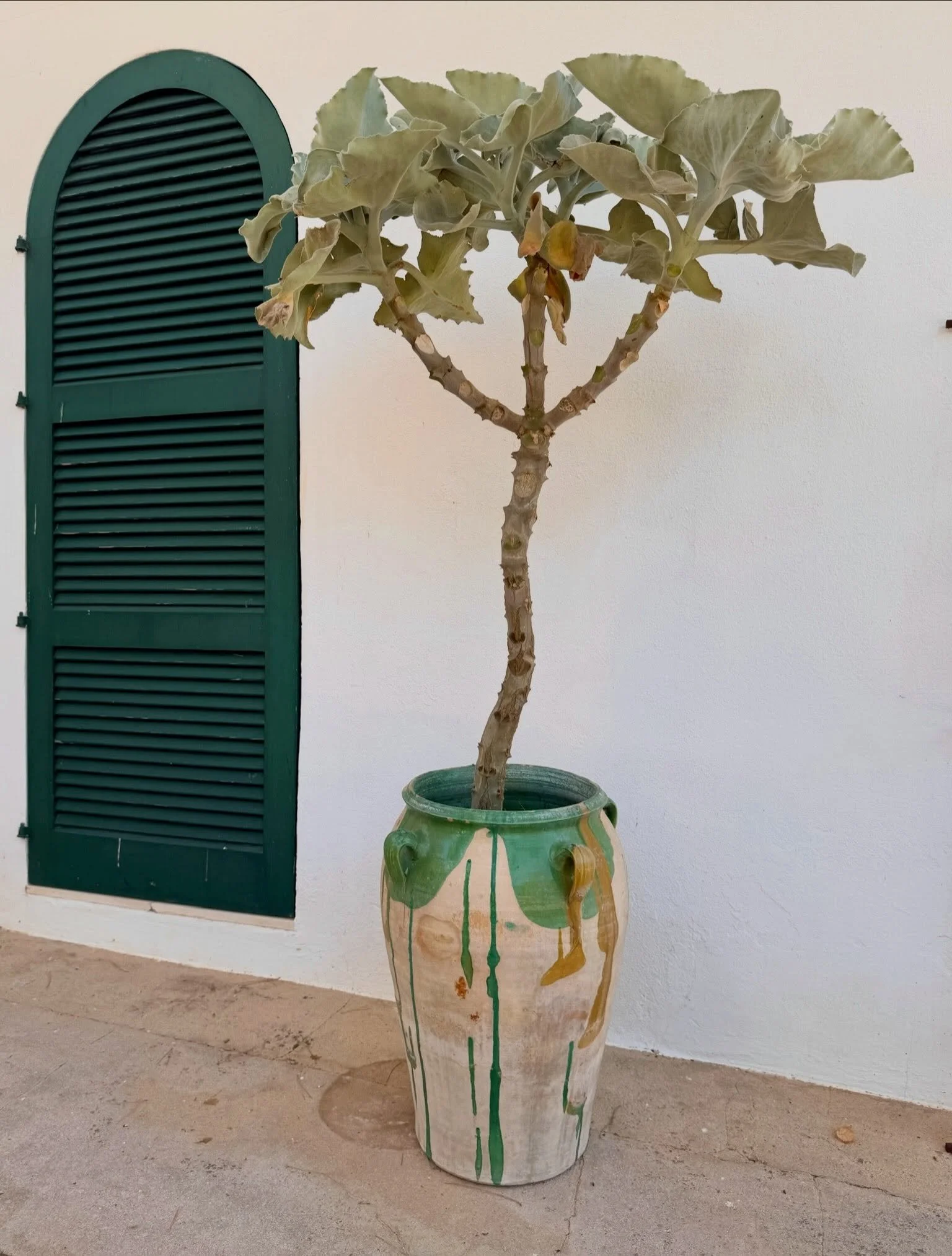 Menorca ☀️, a place that gently welcomes you with the scent of wildflowers, the warmth of the sun, and the salty touch of the sea on your skin. 

#inspiredbymenorca #solar #luxurycandles #sun