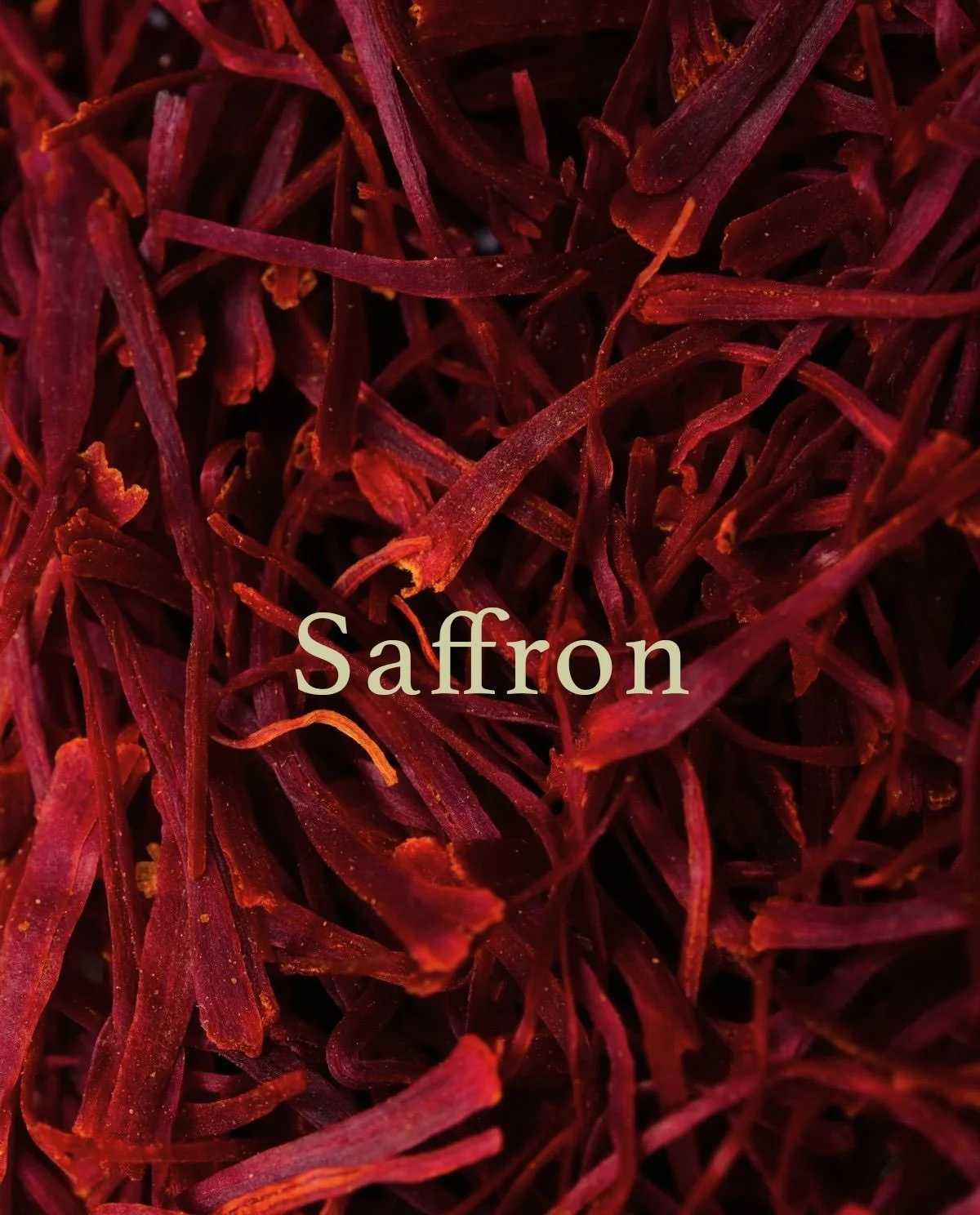 The Alchemy of Saffron | Oasis 

Discover the Oasis collection online 💜