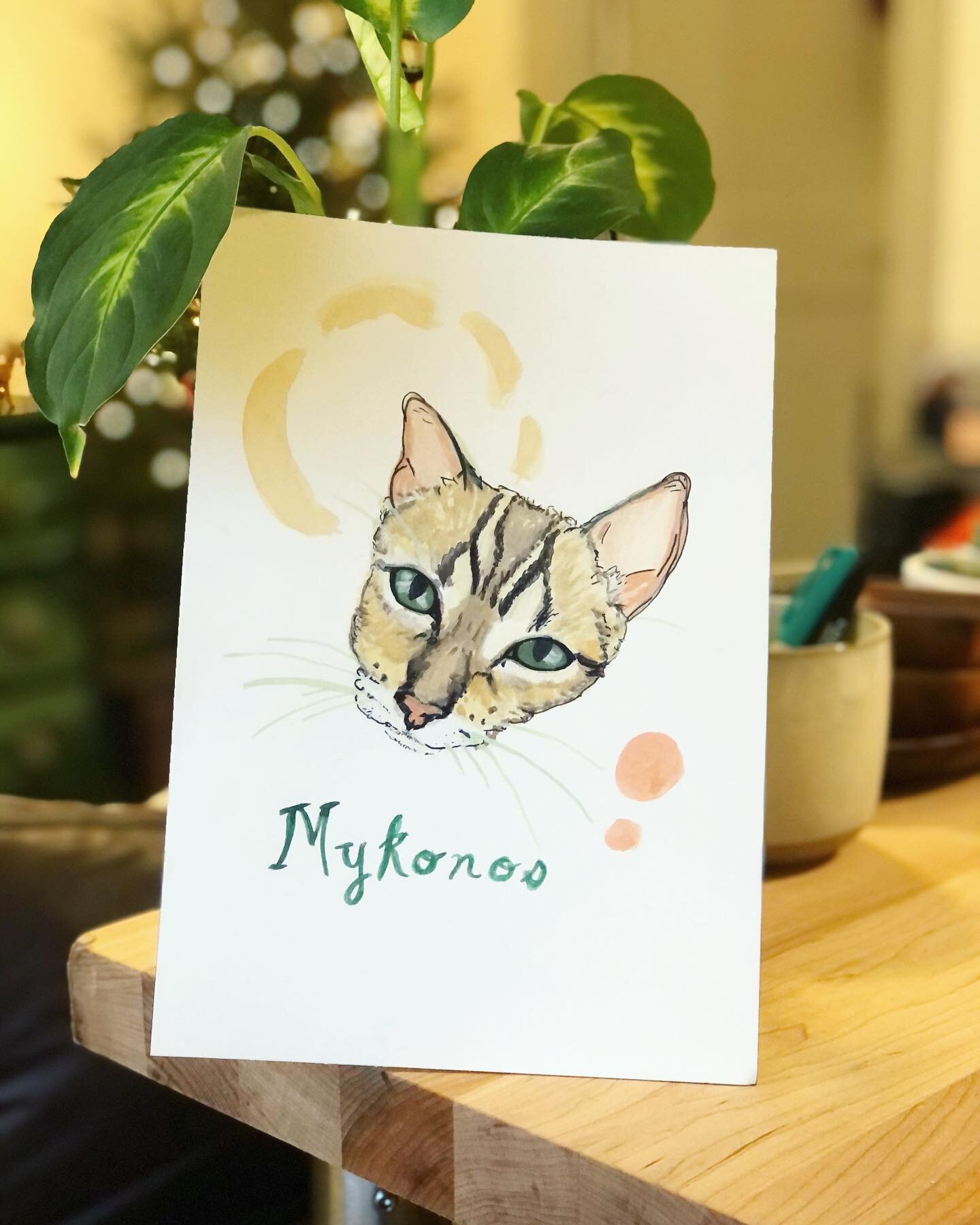Kitties 🐈&zwj;⬛ came along for Christmas too. Pet portraits are always ✨👍🏻🥰

#petportraits #catportrait #catladiesofinstagram #watercolor