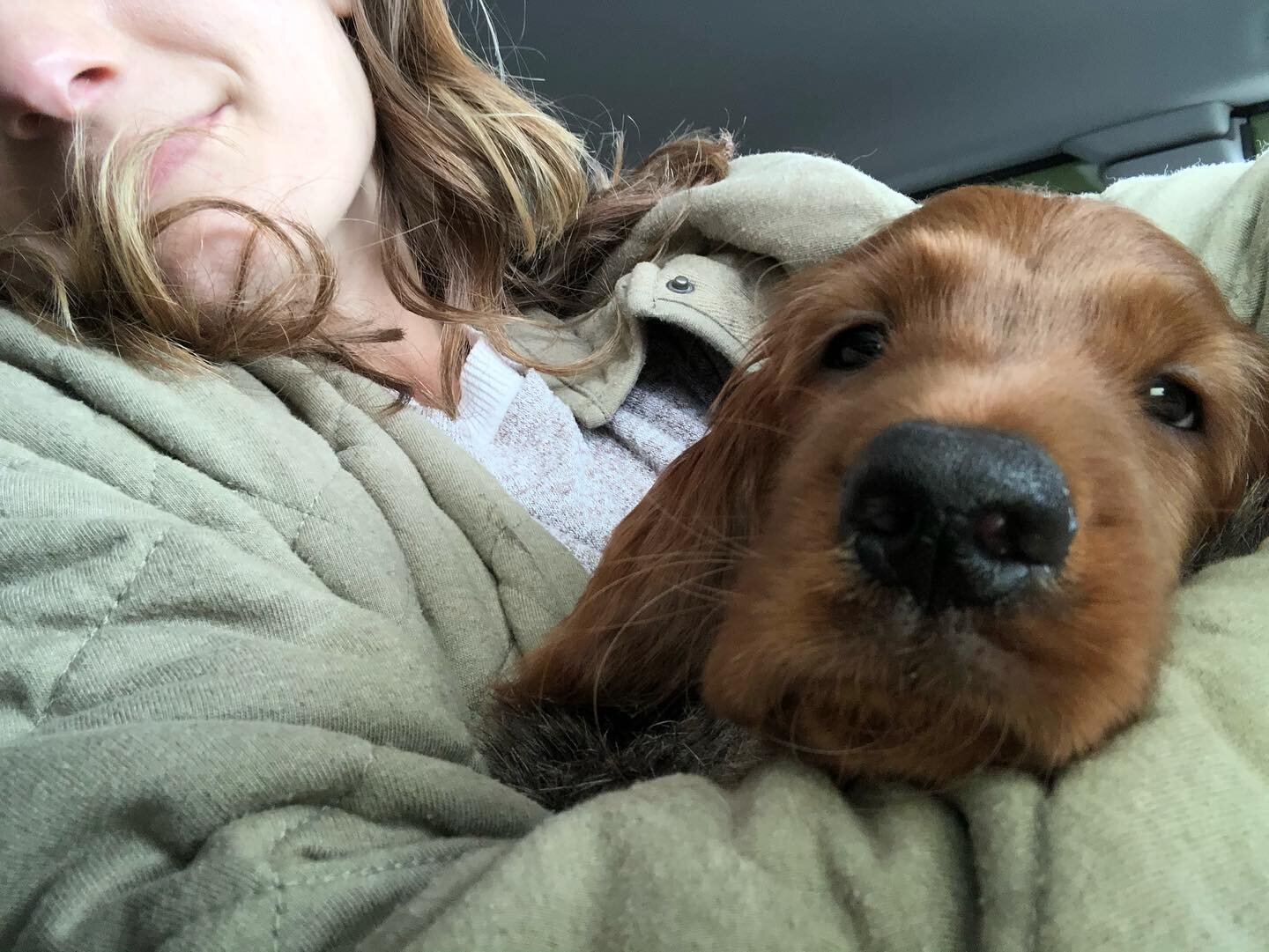 We got a Ruby Red Valentine that&rsquo;s already stolen our hearts: everyone meet Ruby Calton Keim. ❤️&diams;️

My mourning for Margot has been deep. I would not wish this kind of heartbreak and trauma on any dog owner or animal lover. Margot was a d
