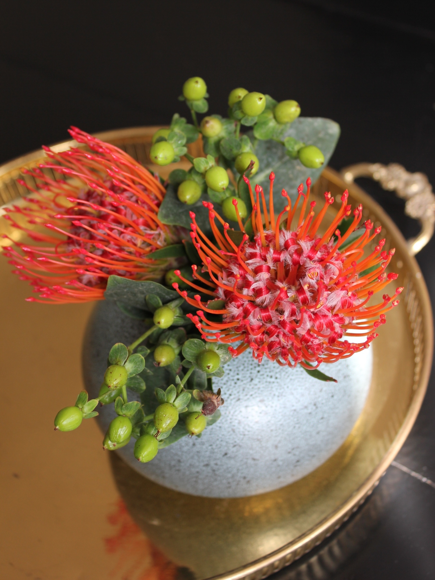 Protea Pincushion Flowers — Fancy Casual