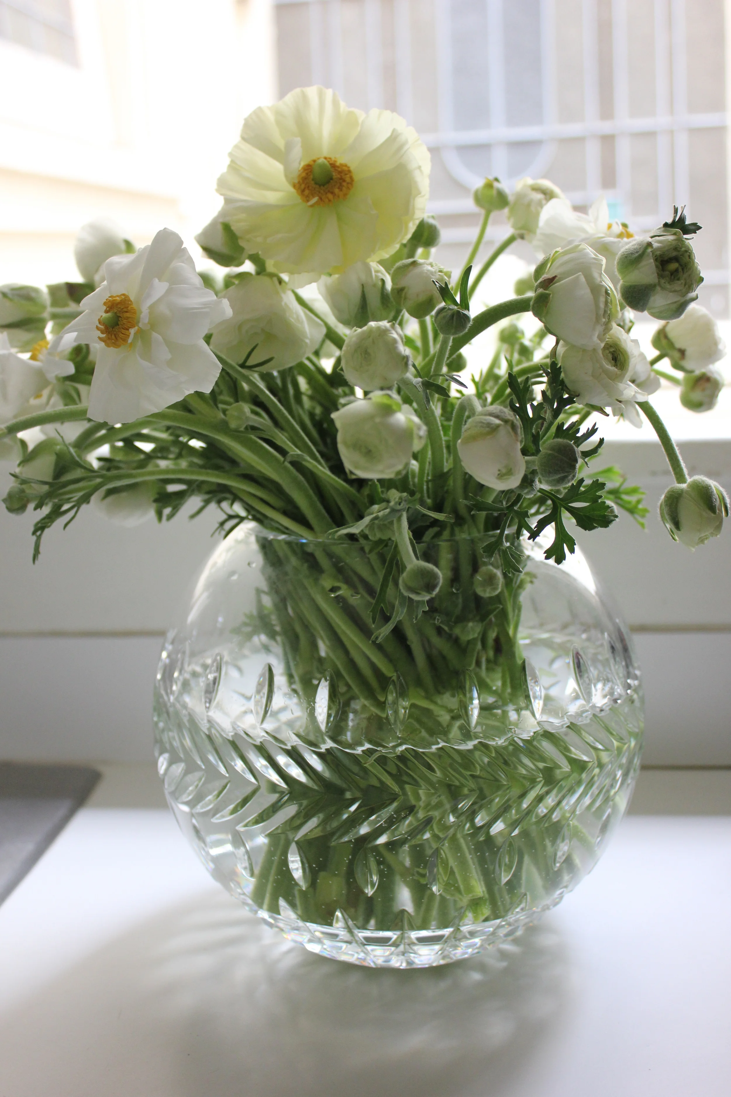 Ranunculus and Crystal