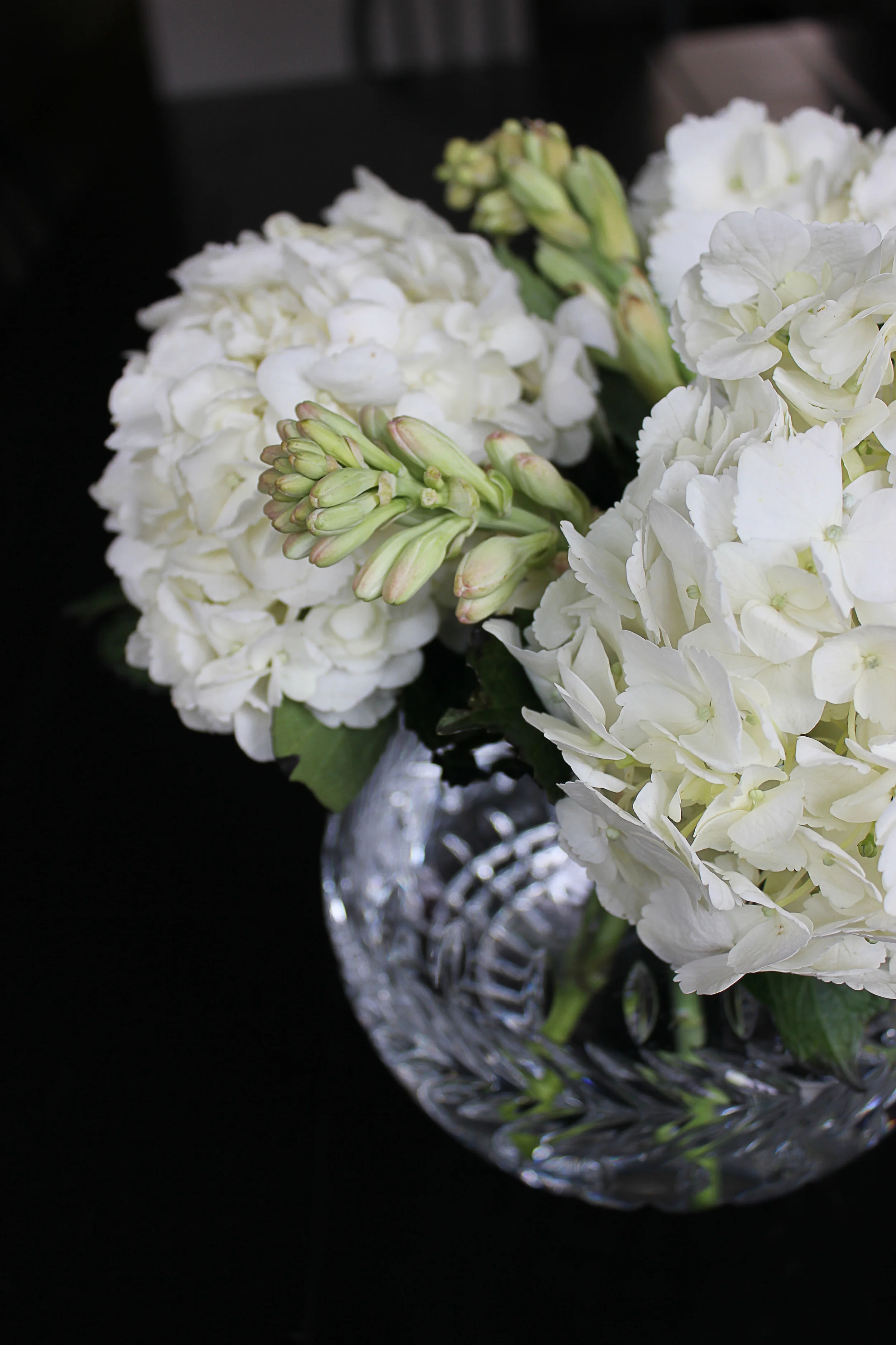 Hydrangea and Tuberose Arrangement