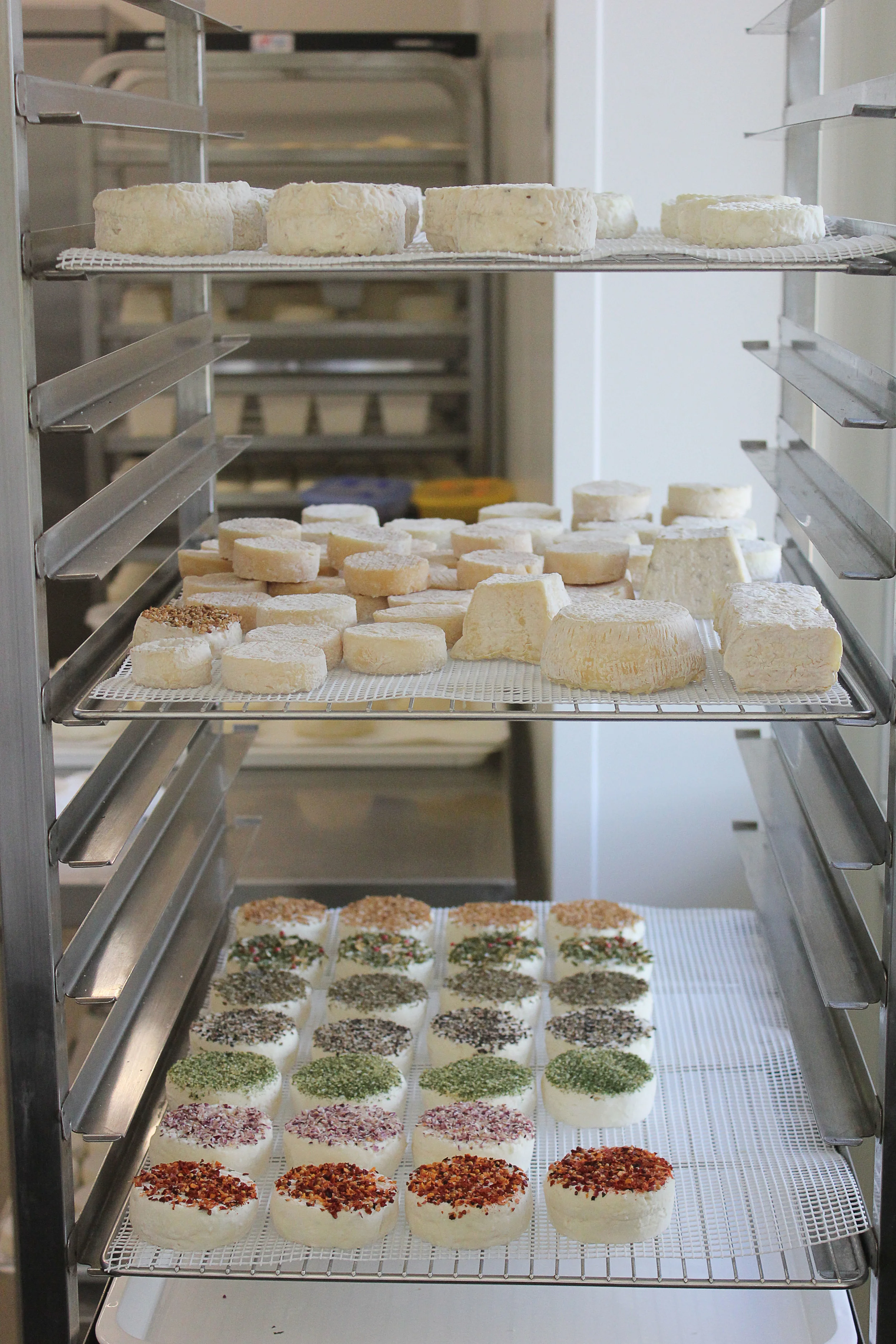 Cheverie de Modene + Antipasti Dinner