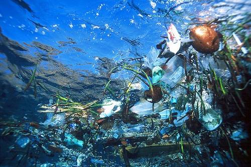 Part of the pacific garbage patch. Public domain image.