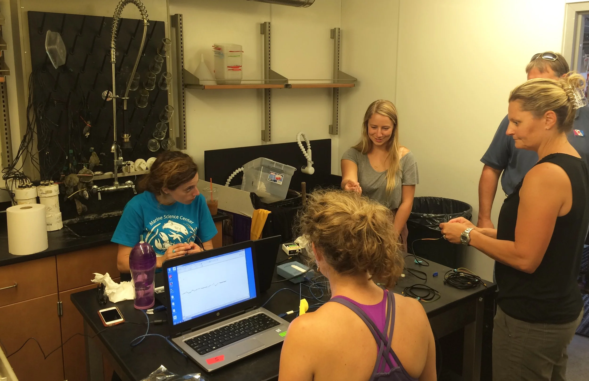 Observing the heart beat of a muscle! 