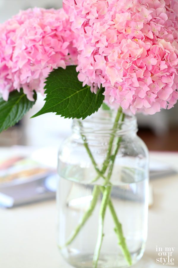 http://inmyownstyle.com/2014/07/how-to-cut-hydrangeas-so-they-wont-wilt.html Summer Flower: Hydrangeas 