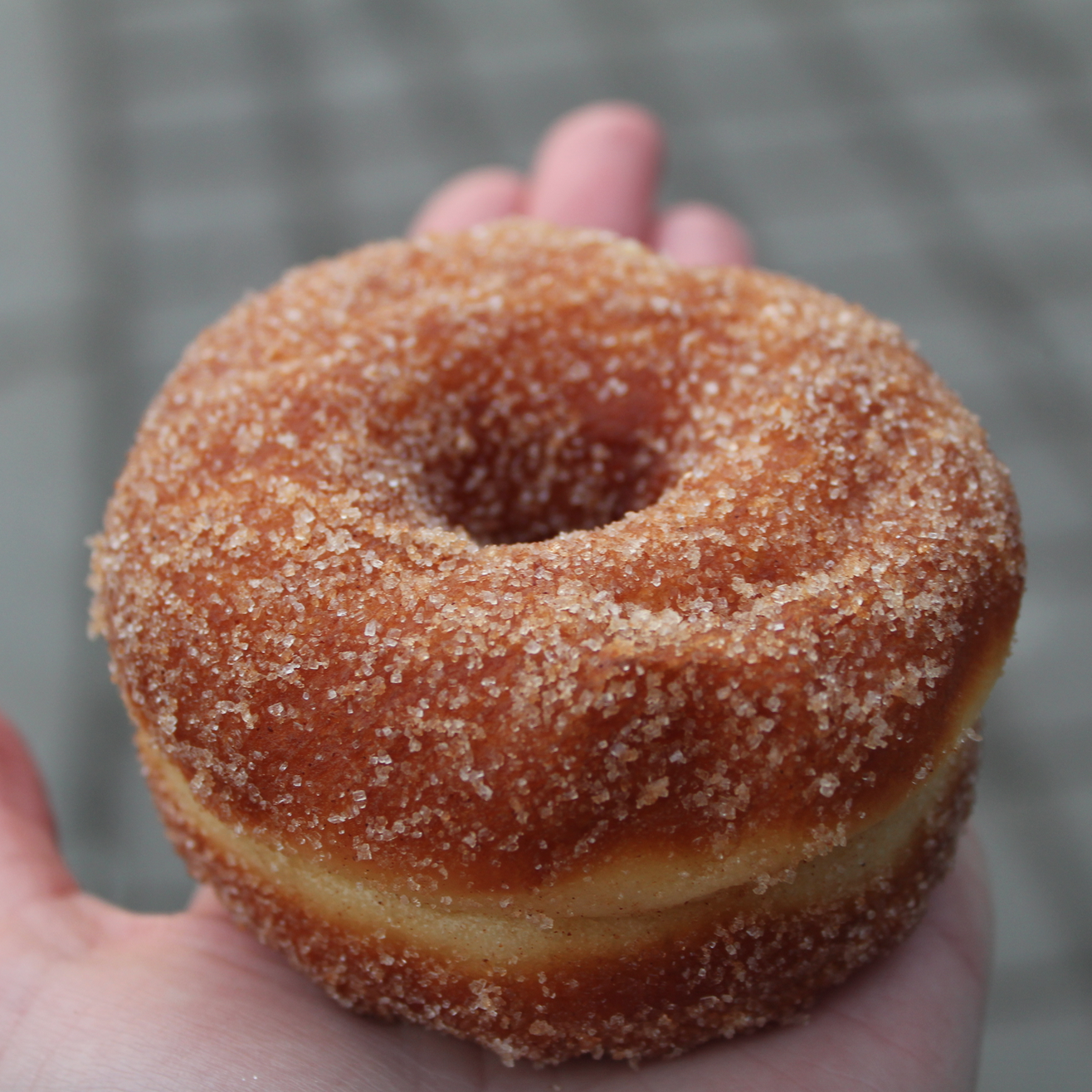 Cinnamon sugar donut! MMM! 