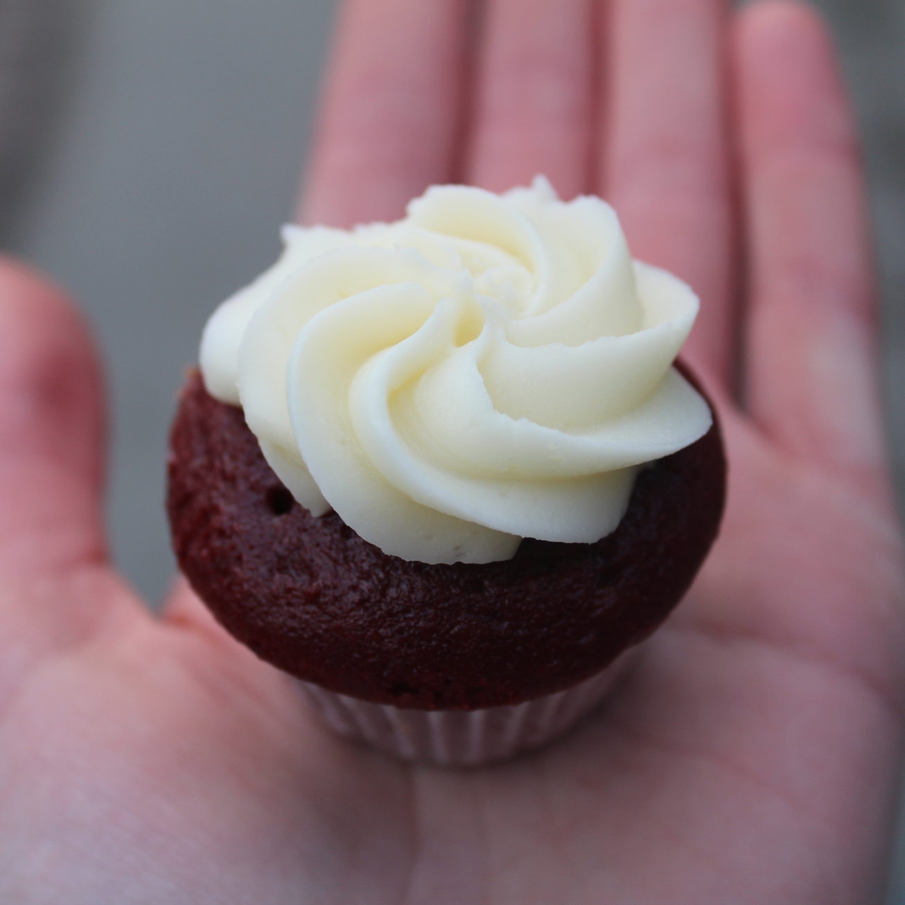 Mini Red Velvet Cupcake! 
