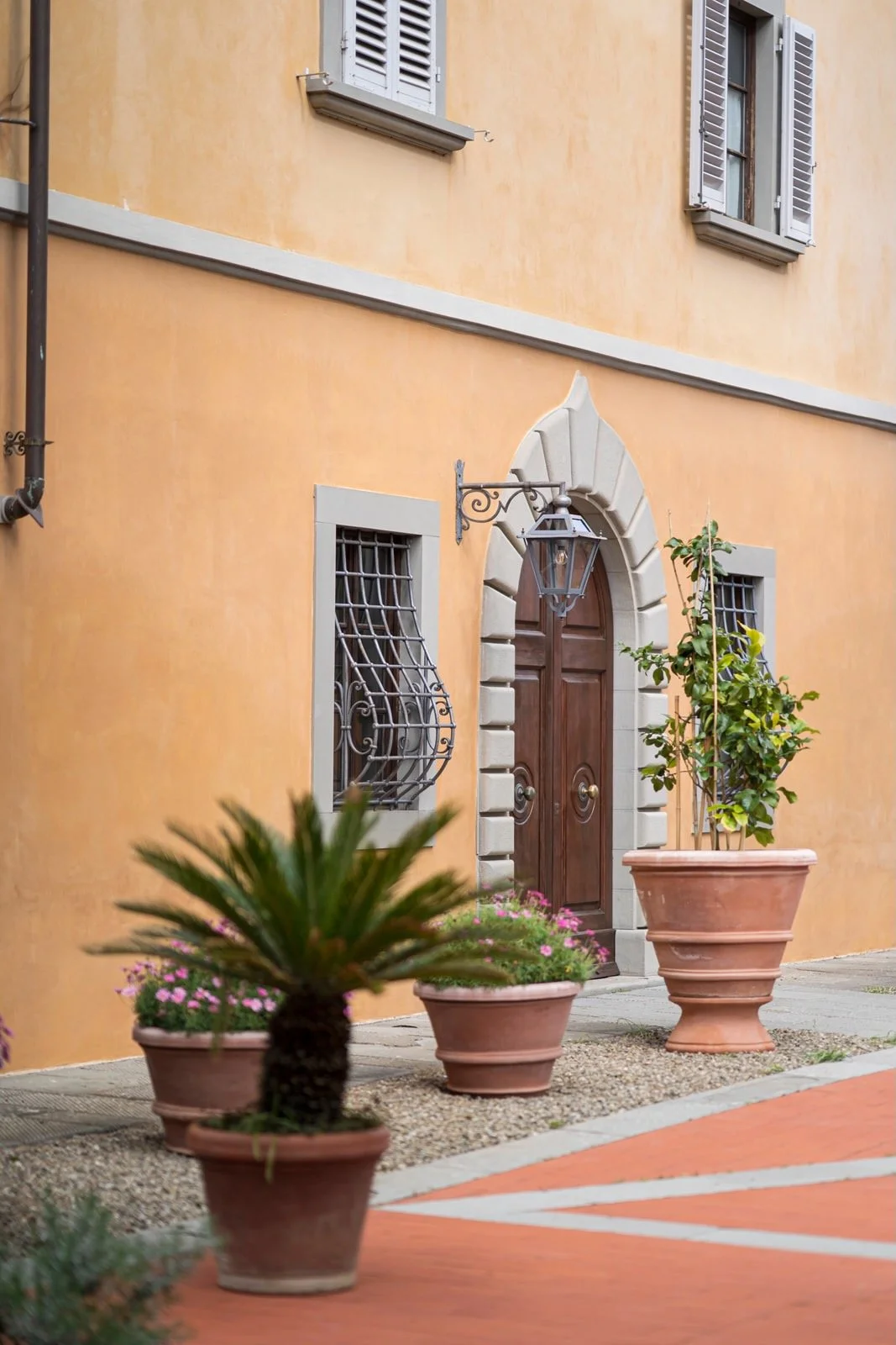 A view of a pastel-colored building with a wooden arched door, surrounded by potted plants and flowers, and decorative metal window bars.