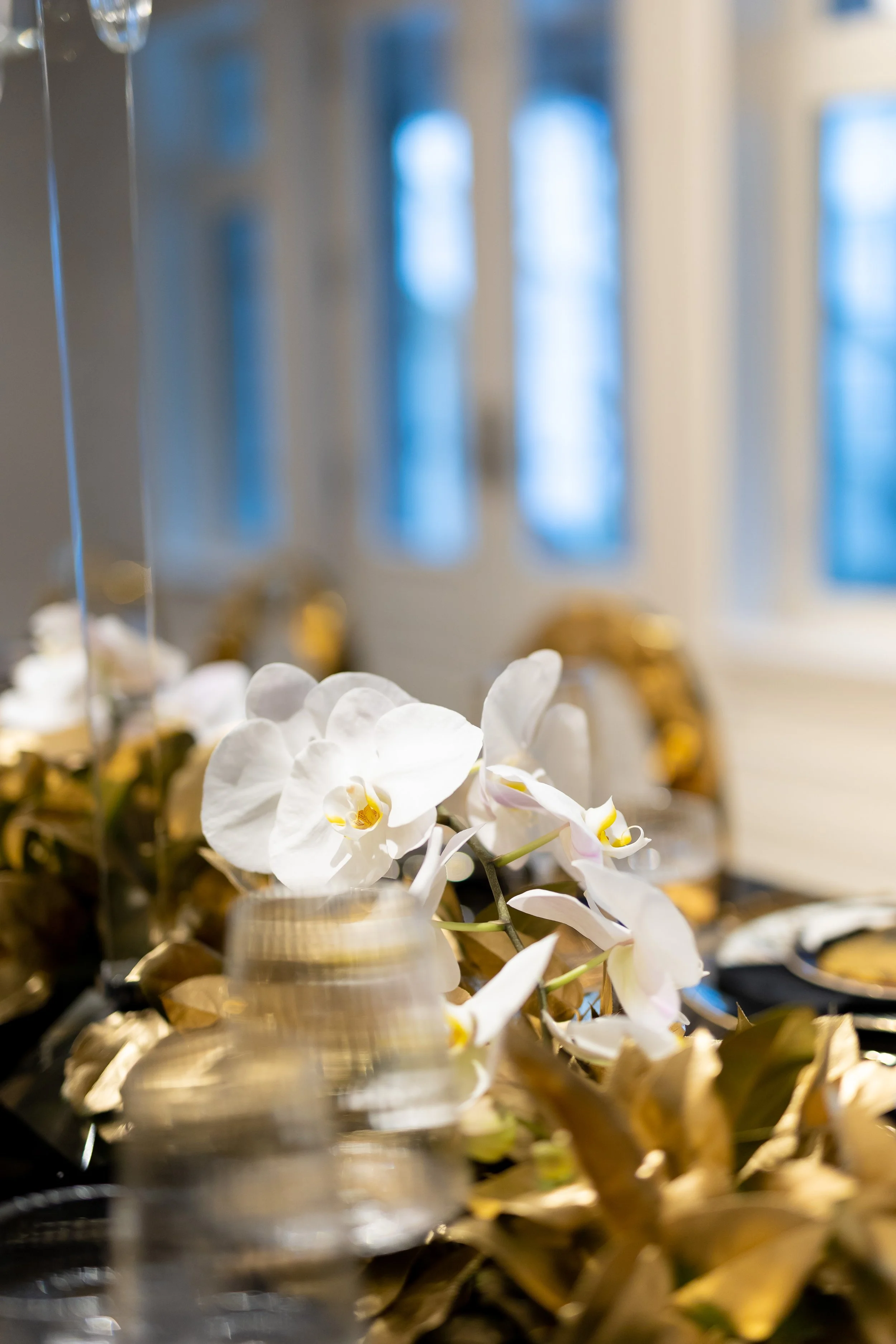 White orchids in a gold vase on a dining table with gold accents, blurred background of windows and curtains.