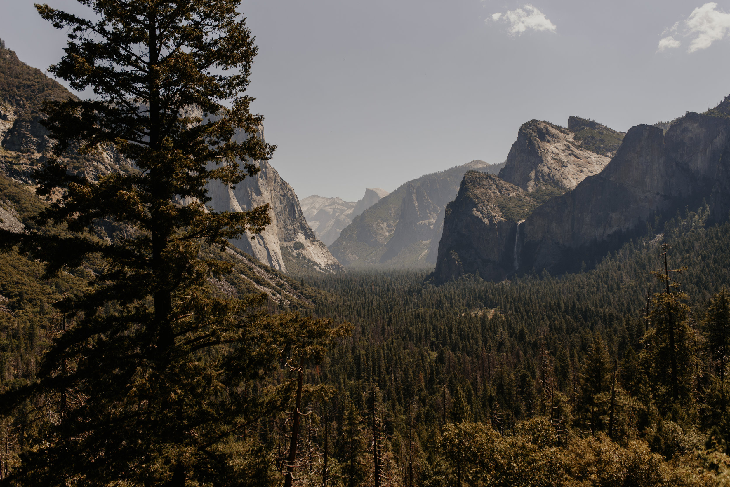 To Yield “Much More” Fruit