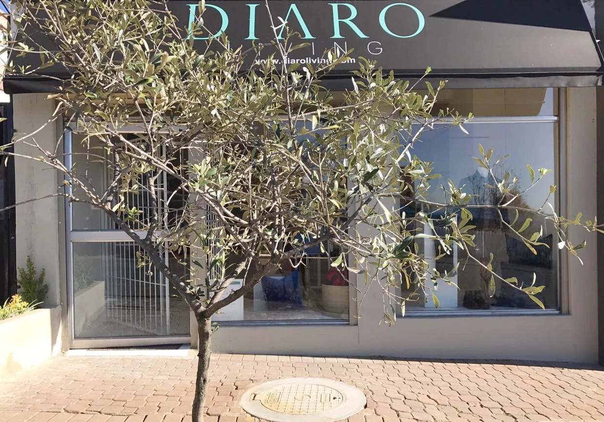 The Consensus of Opinion
Article in Harper's Bazaar, Photograph by Man Ray, 
March 1936