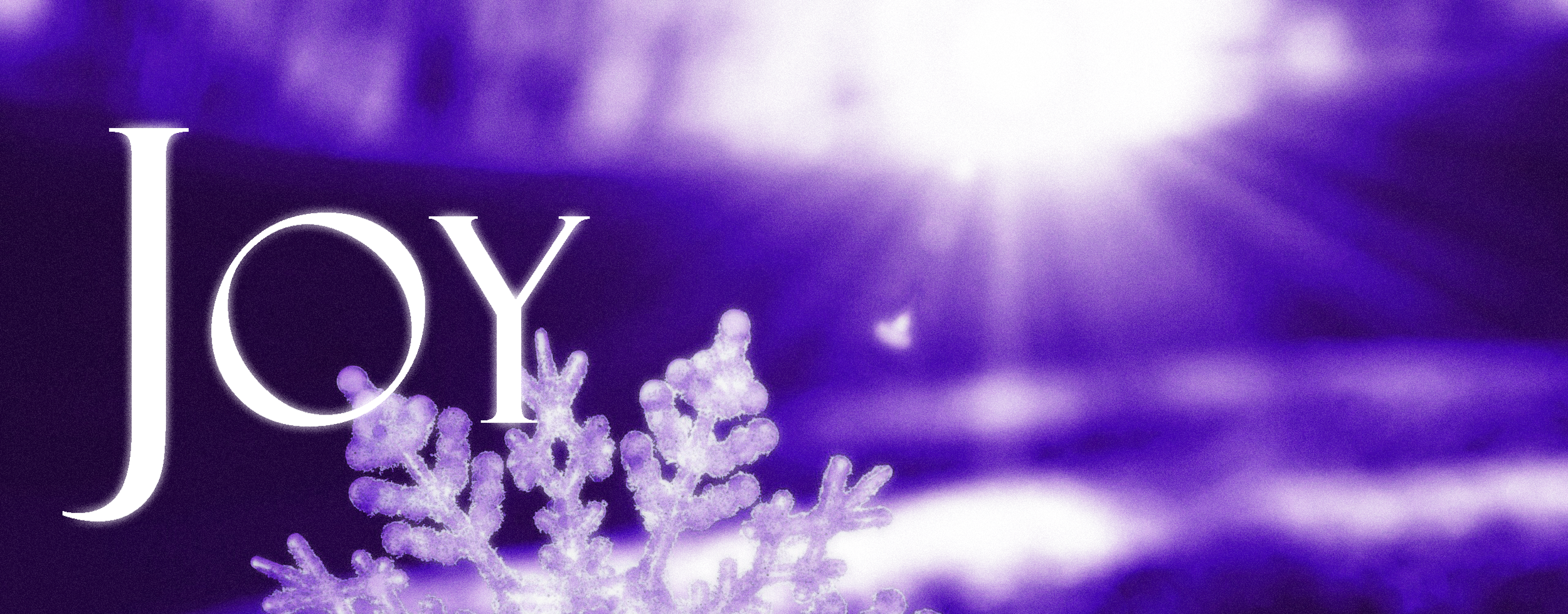 Joy Banner.png