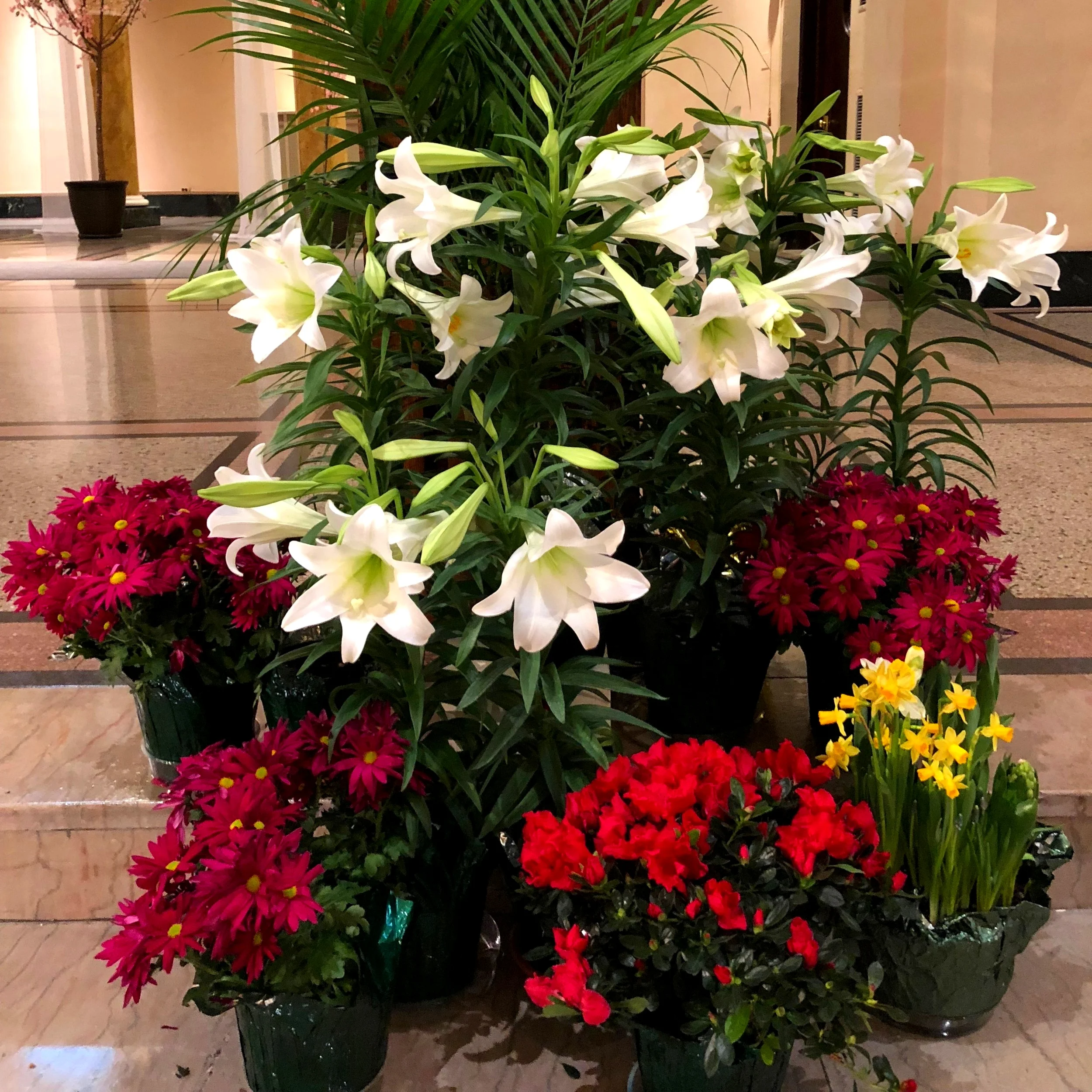 Easter Flower Collection
