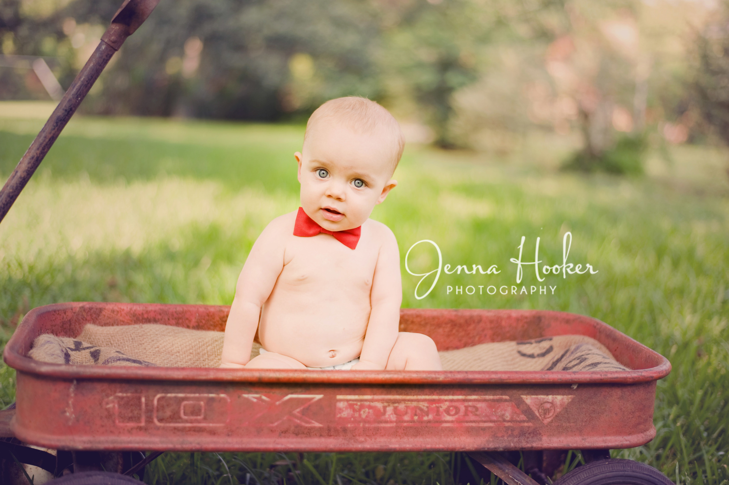 6 month old boy, bowtie and red wagon