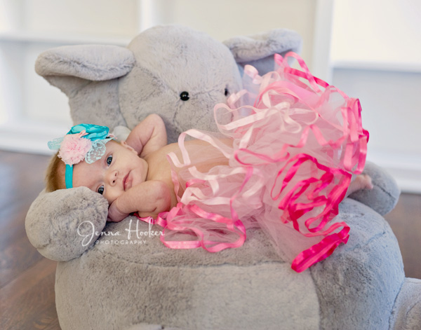 Her Elephant and pink tutu.