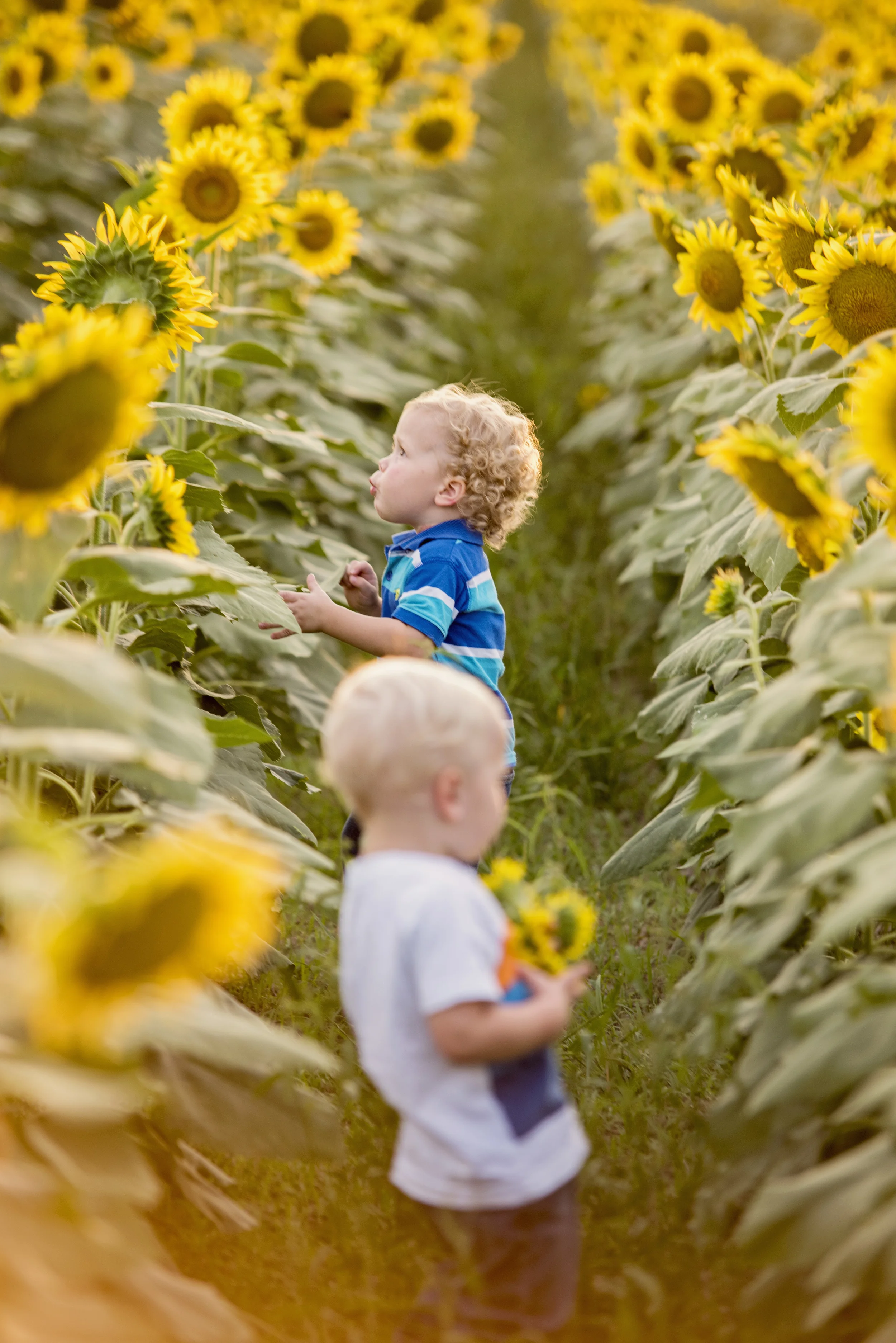 C and G enjoying the sunflowers