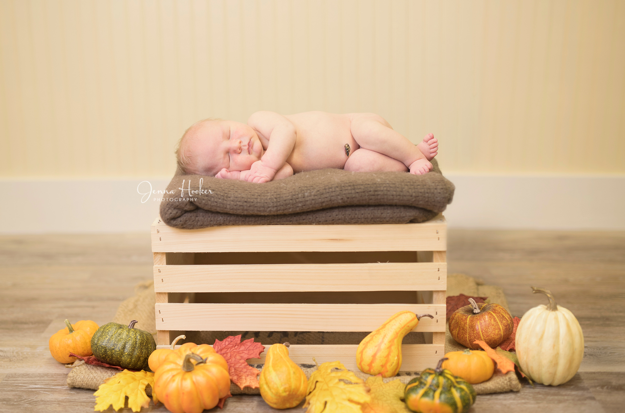 pumpkin baby photos