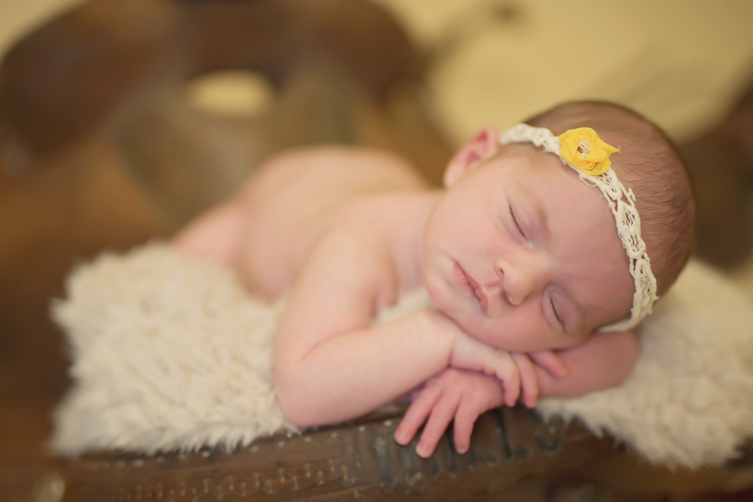 saddle and baby girl photos