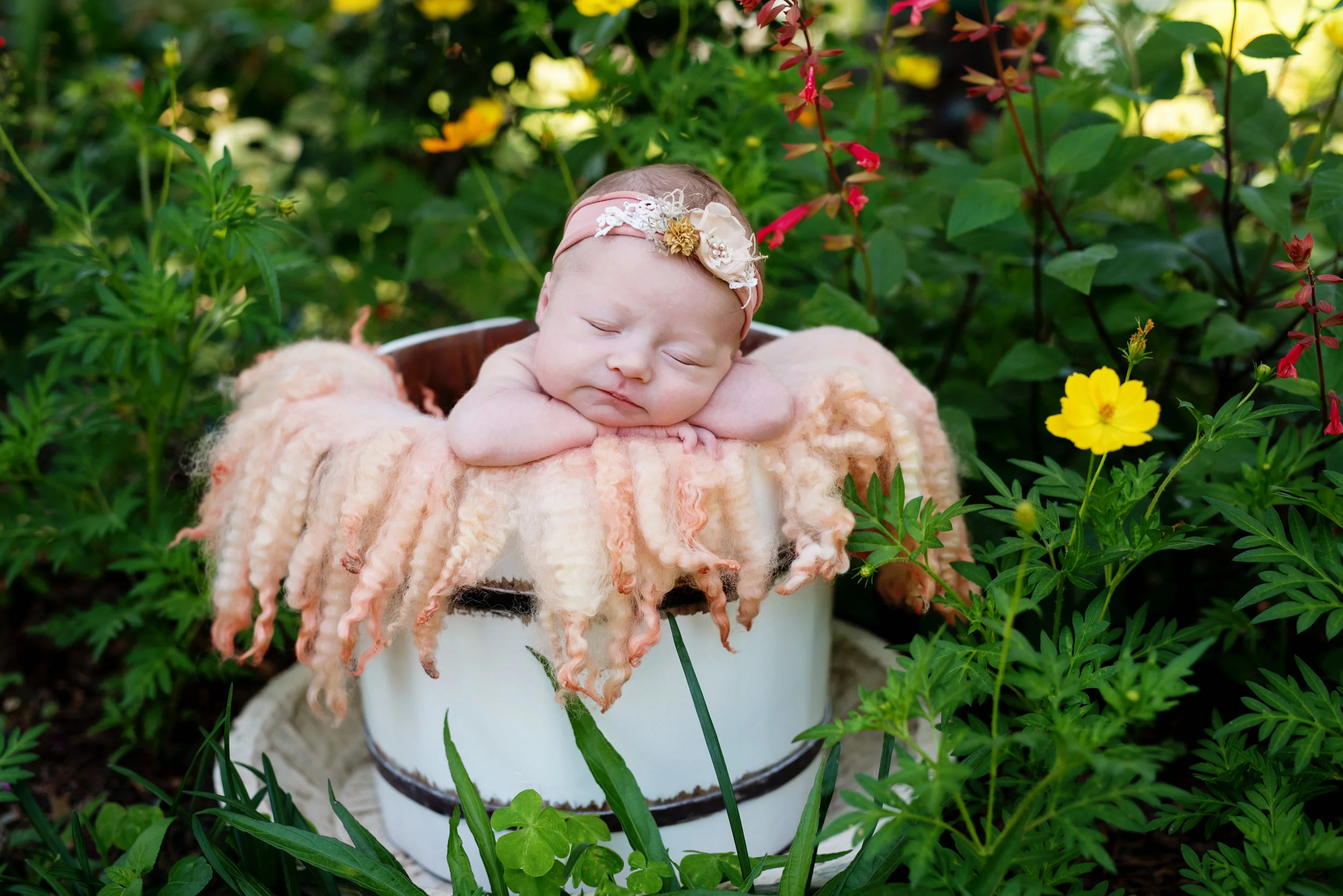 outdoor newborn photography