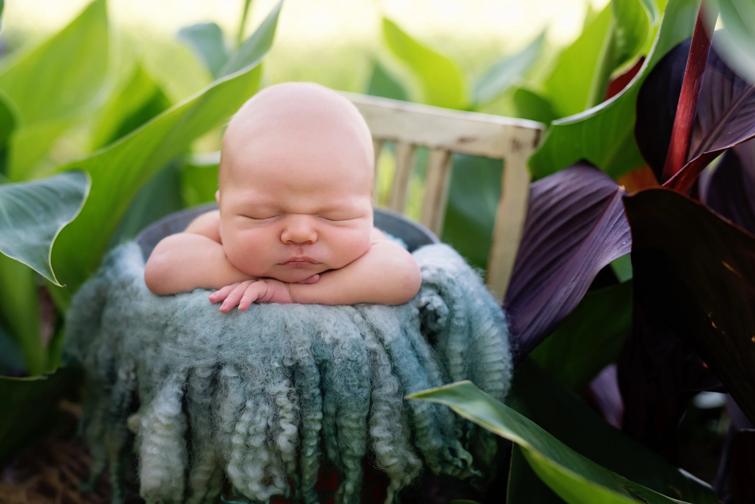 outdoor newborn photos el campo texas