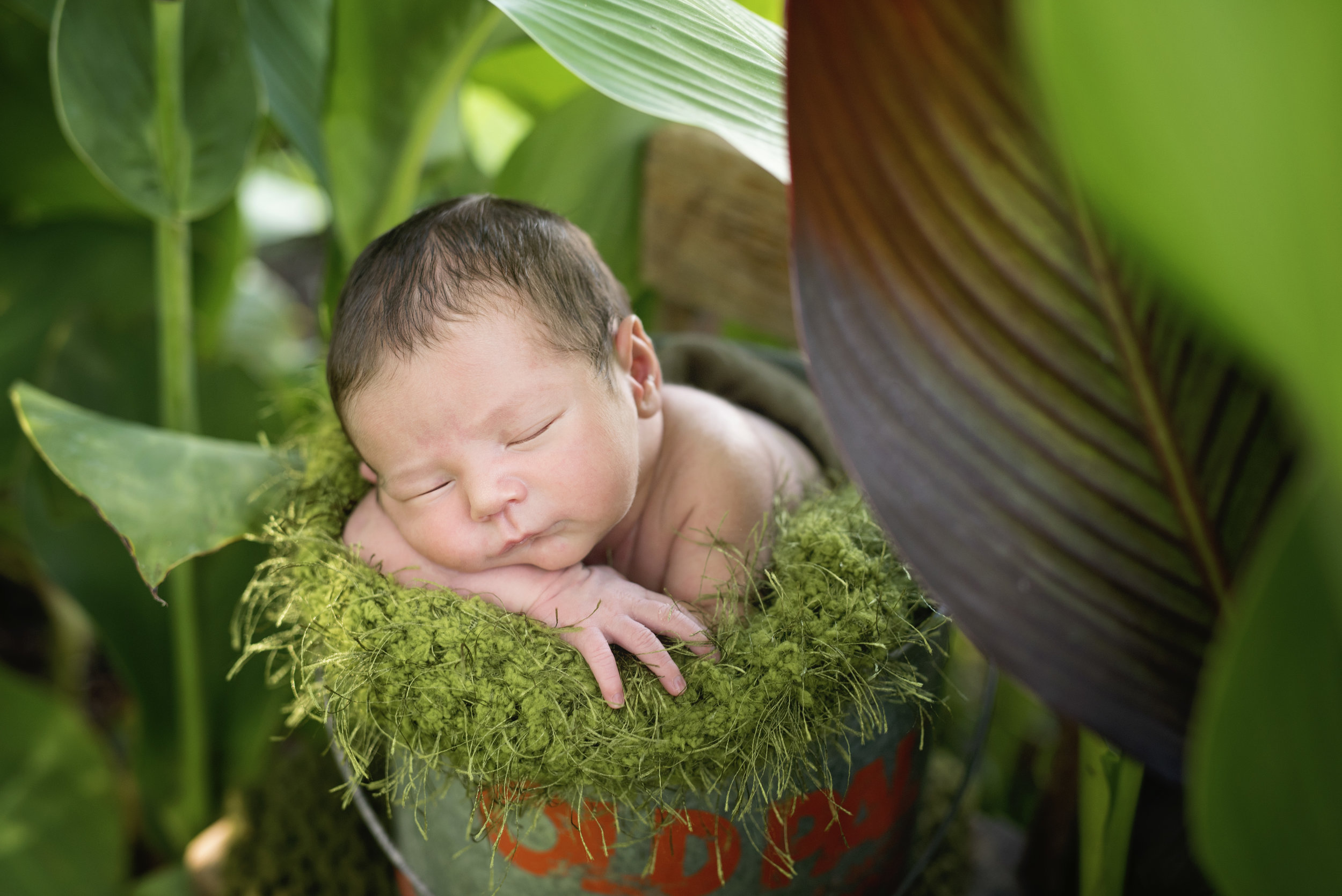 outdoorn newborn boy el campo texas