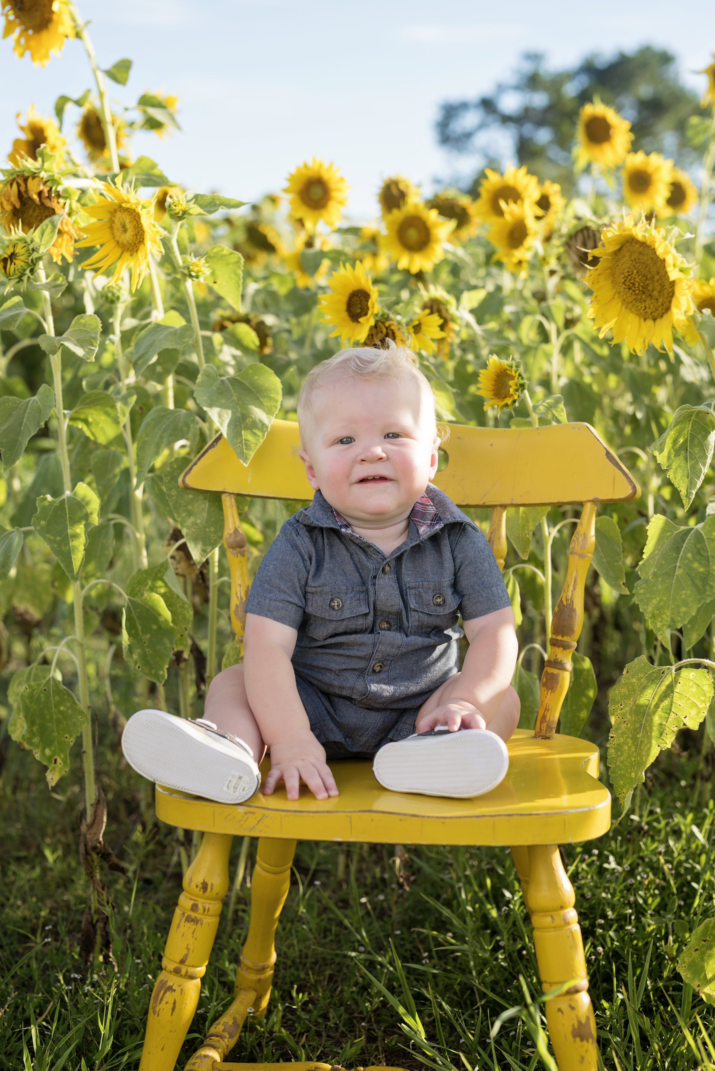 Sunflower Mini Photos Sessions El Campo Texas