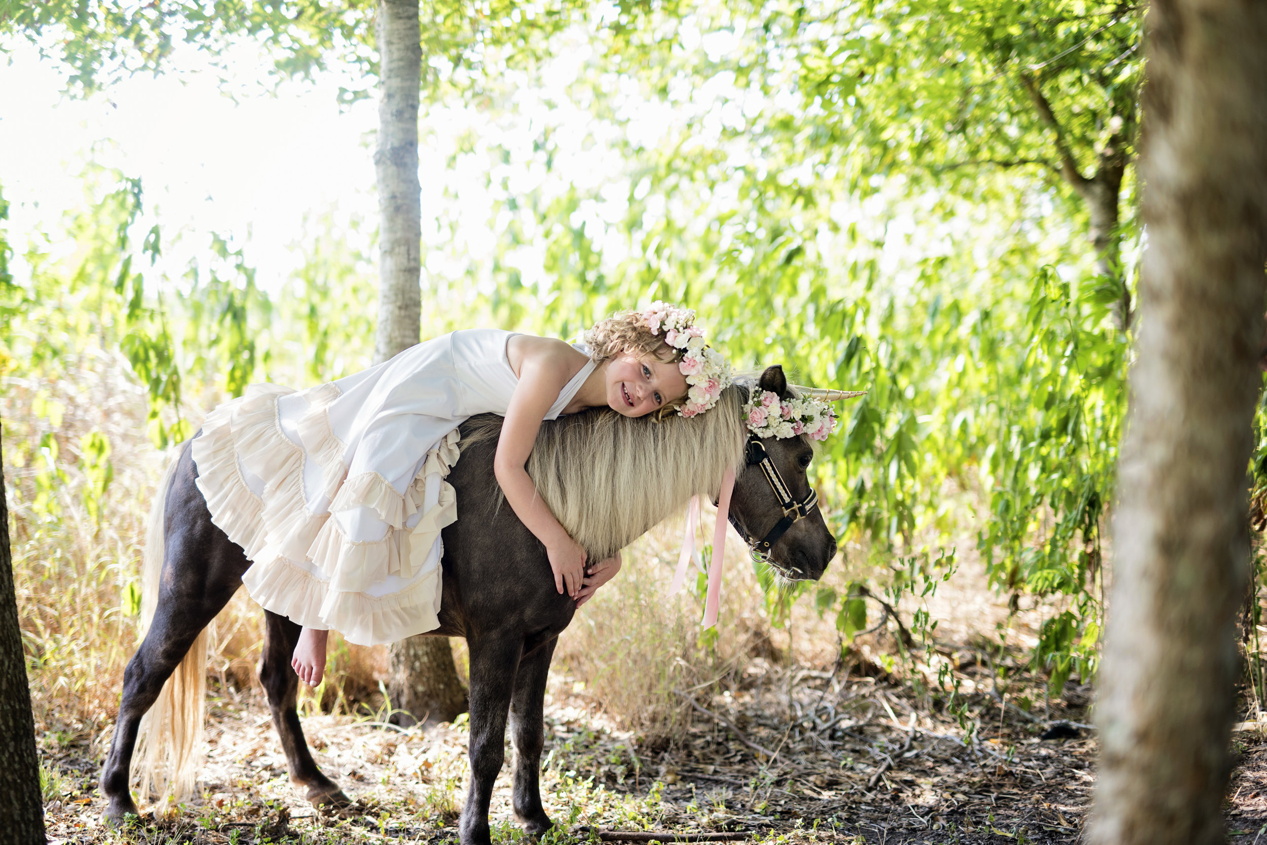 Unicorn Mini Photos el campo photographer