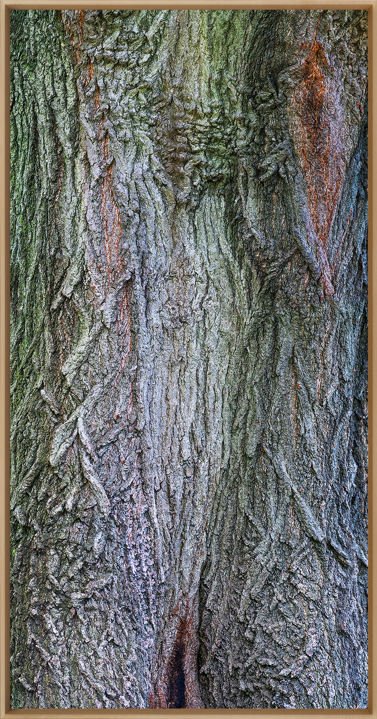 Hybrid Oak Study.jpg