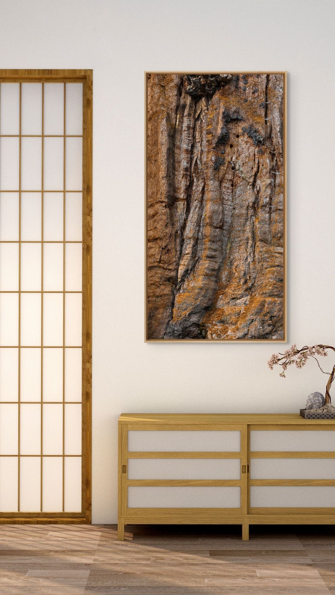 giant sequoia study.jpg