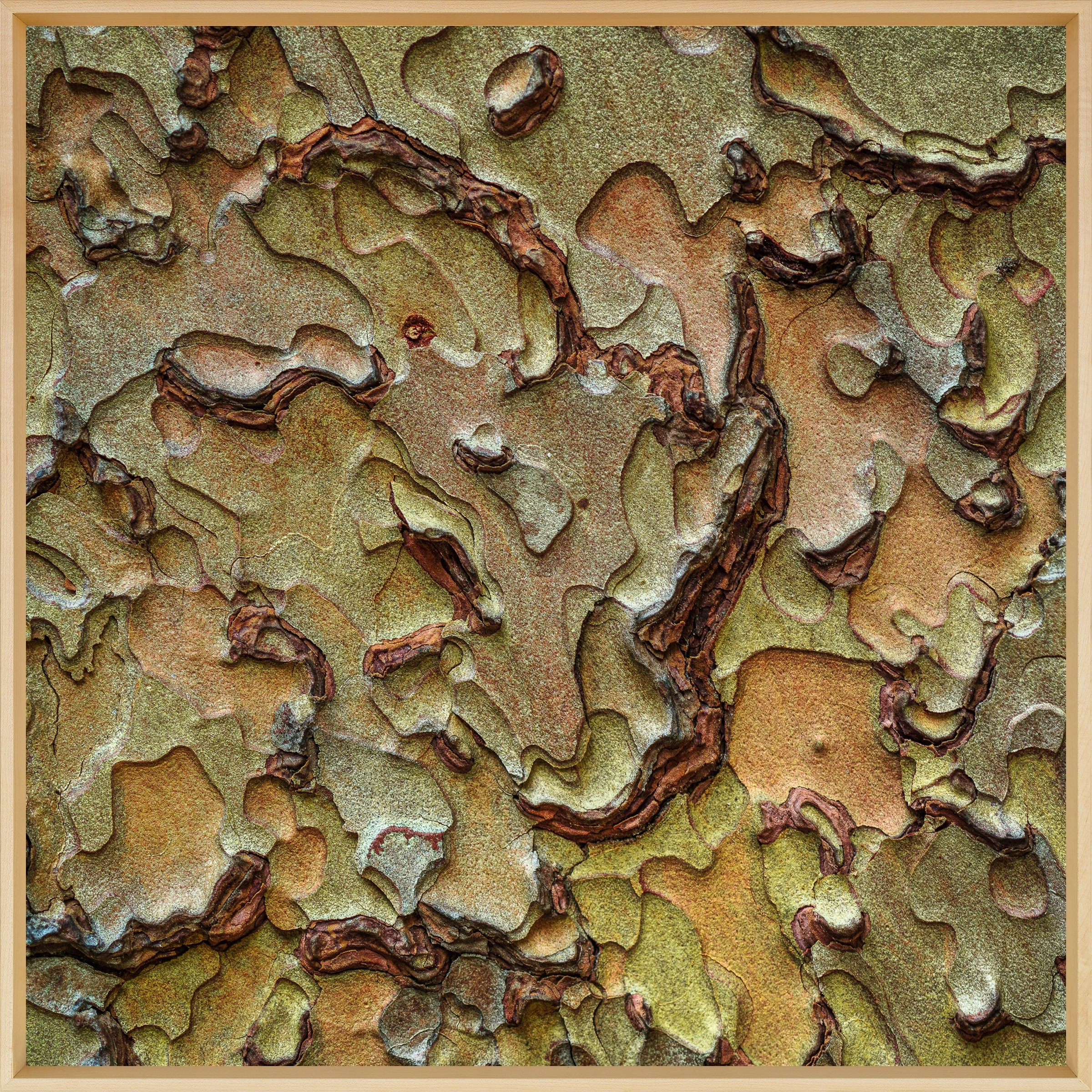 San Jacinto 2 Detail.jpg