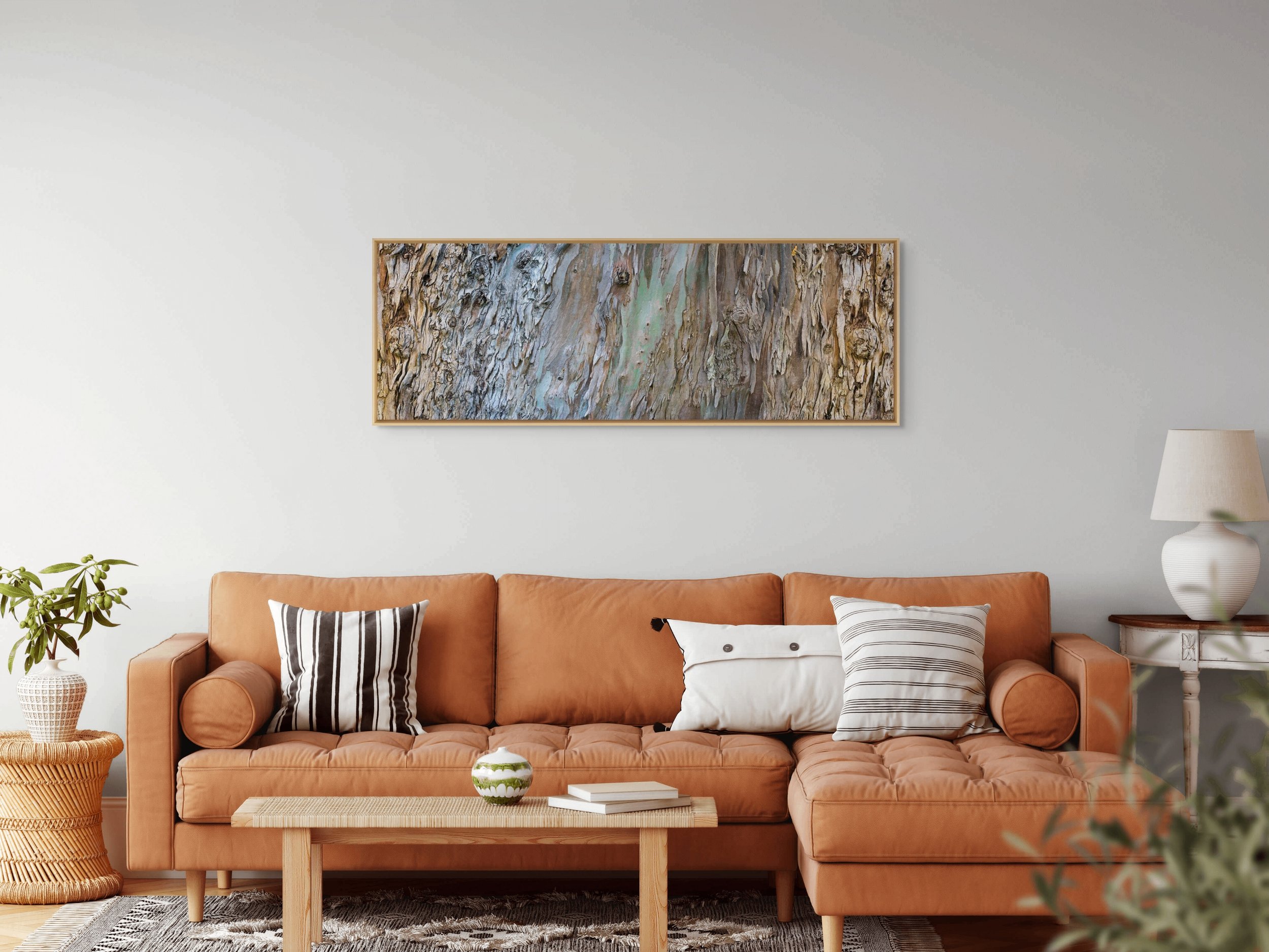 new eucalyptus 2600.jpg