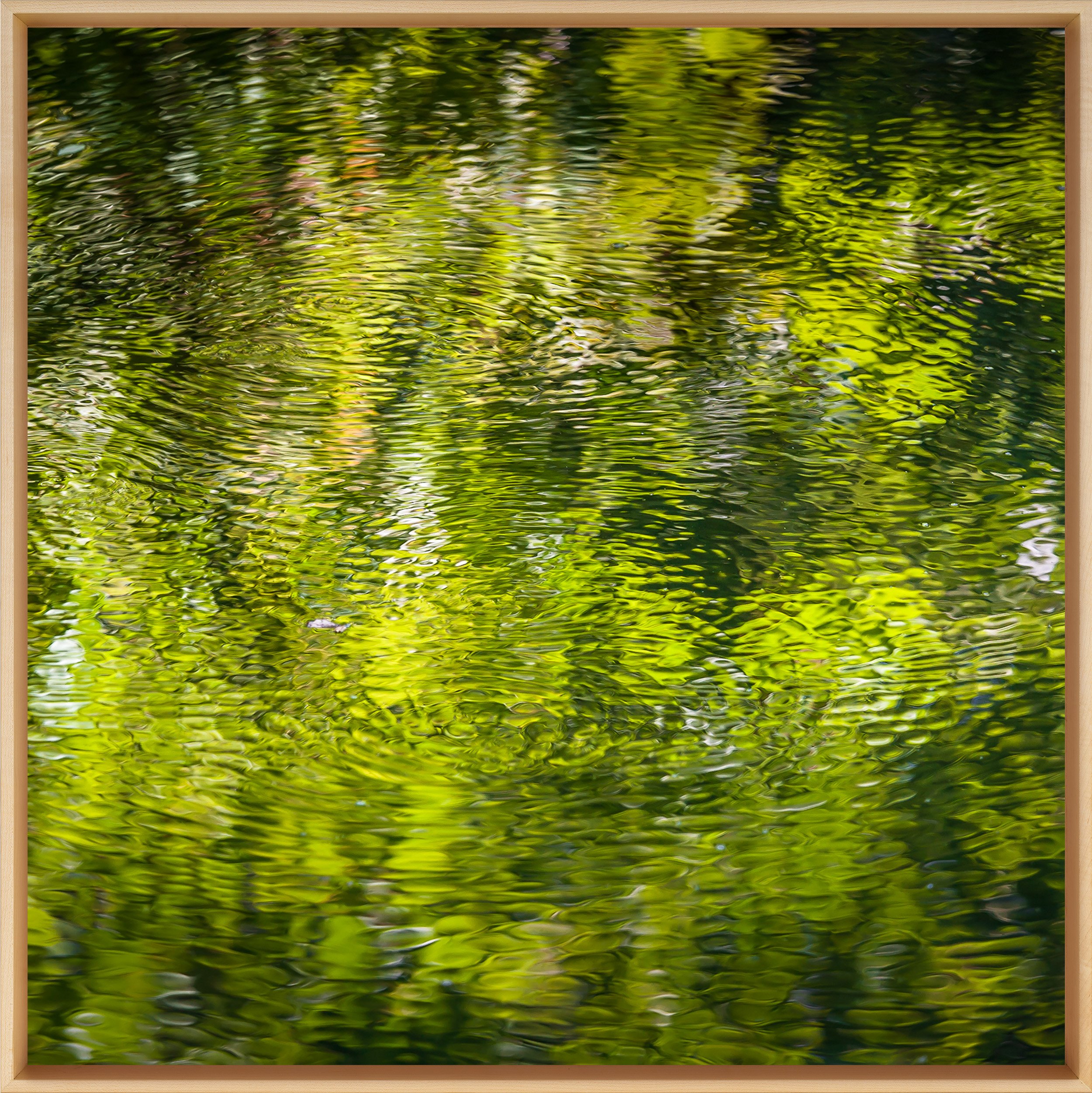 Springtime, Central Park.jpg