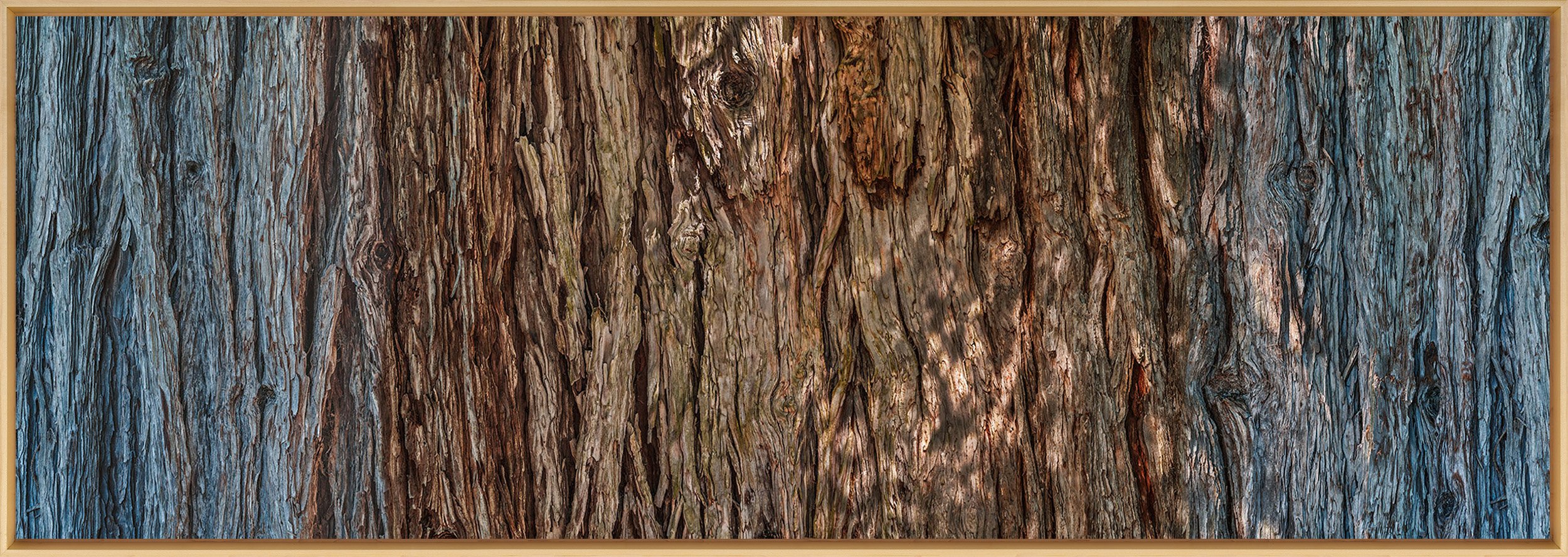 New Redwood 2600.jpg