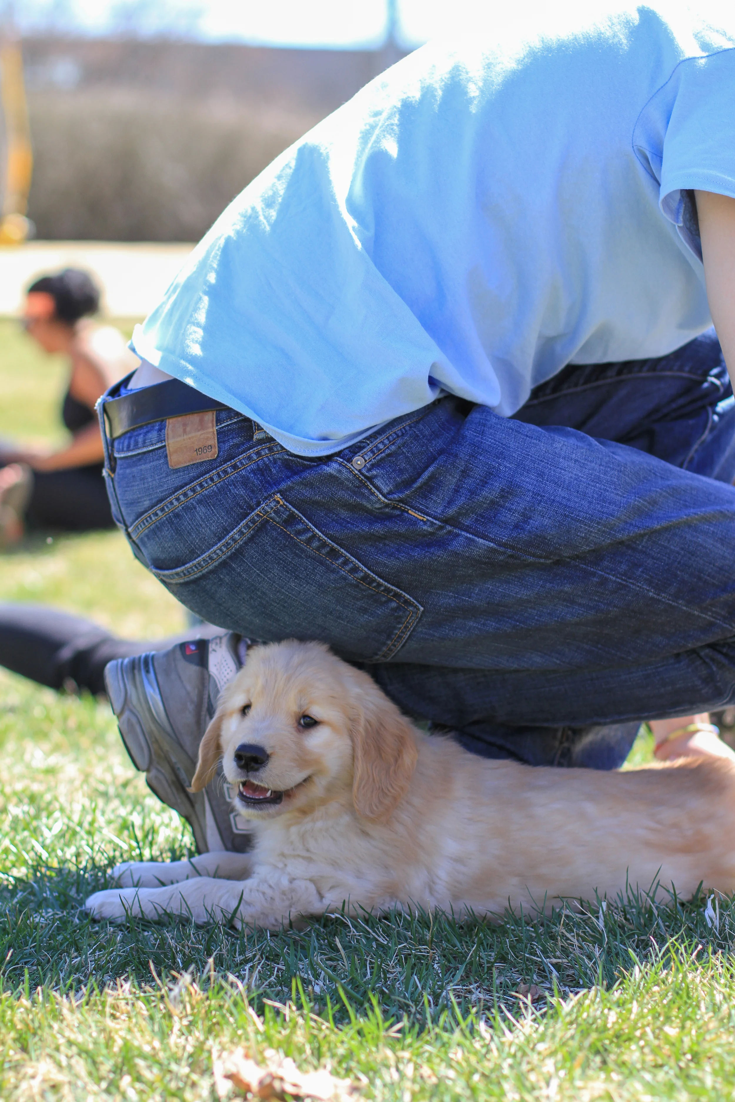 CloisterPuppiesSpring14-8923.jpg