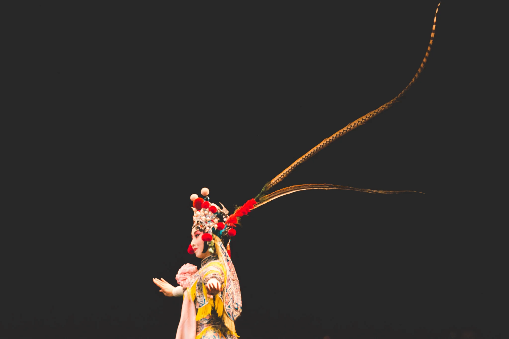 Chinese Opera Performer