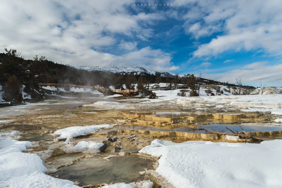 Costa_150112_2013.jpg