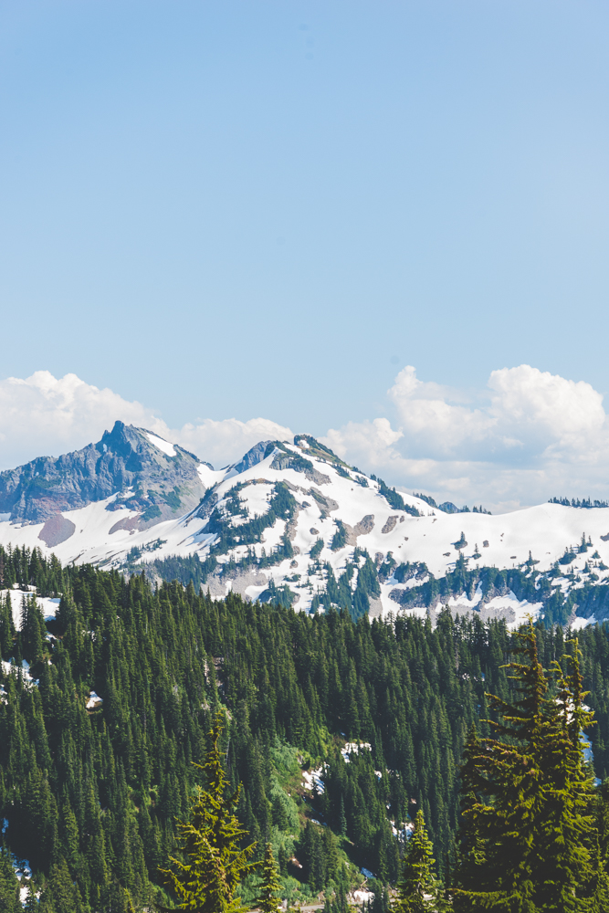 WASHINGTON