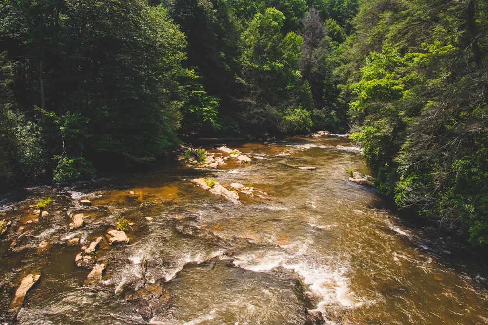 GEORGIA