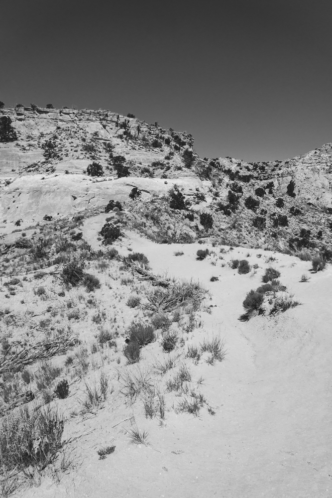 NEW MEXICO