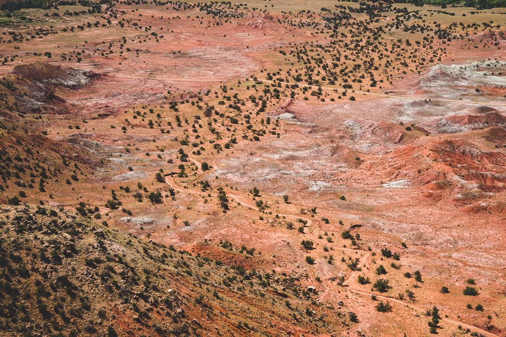 NEW MEXICO