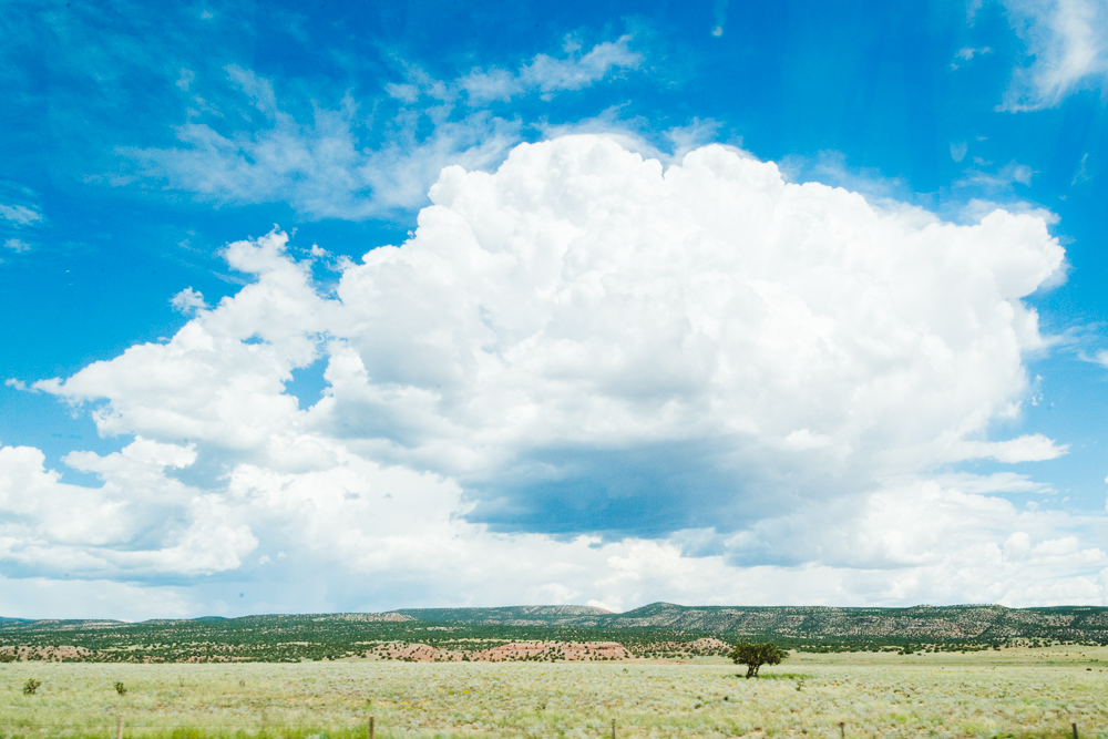 NEW MEXICO
