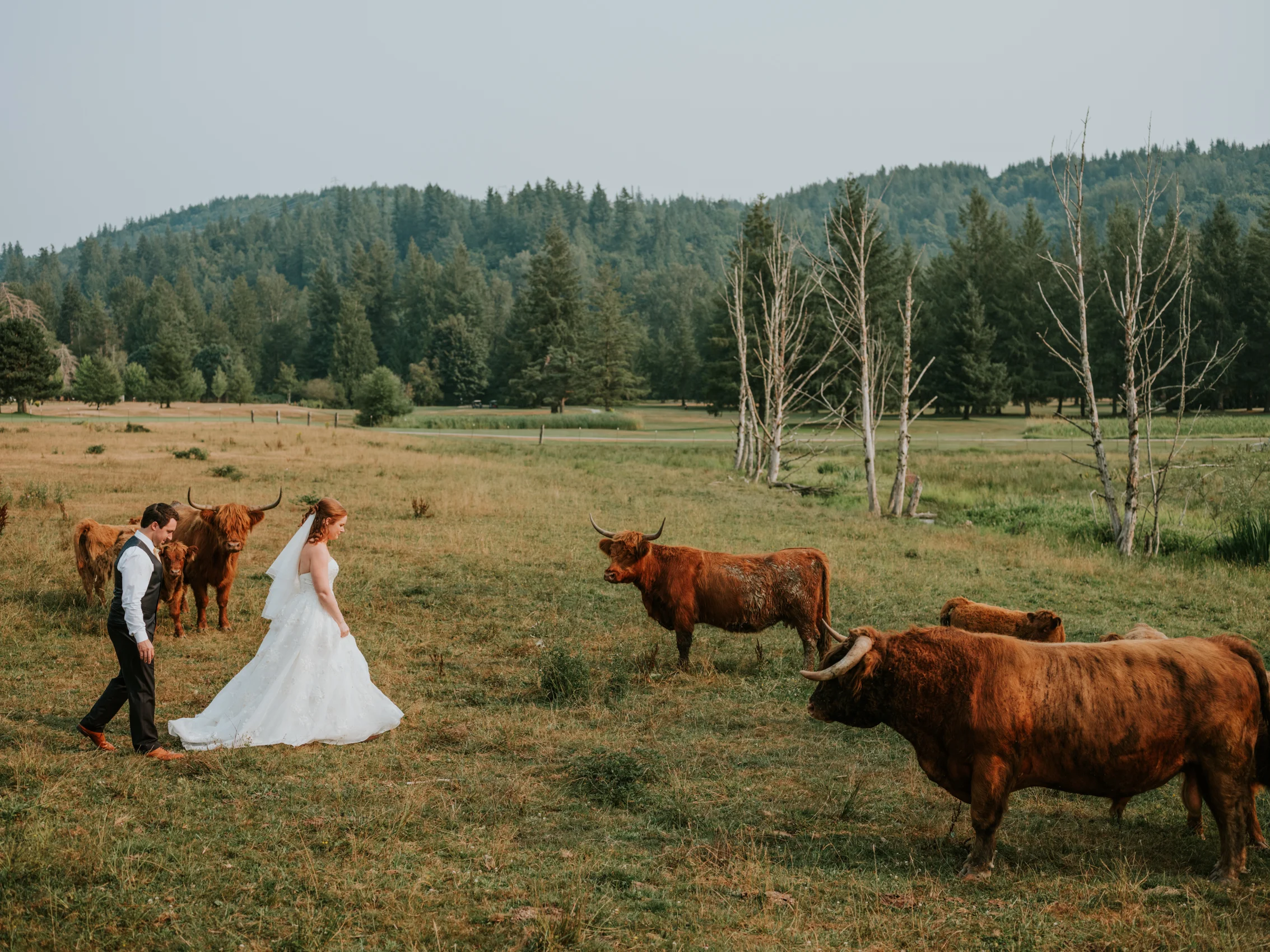 StolenGlimpses_SeattleWeddingPhotographers_72.jpg