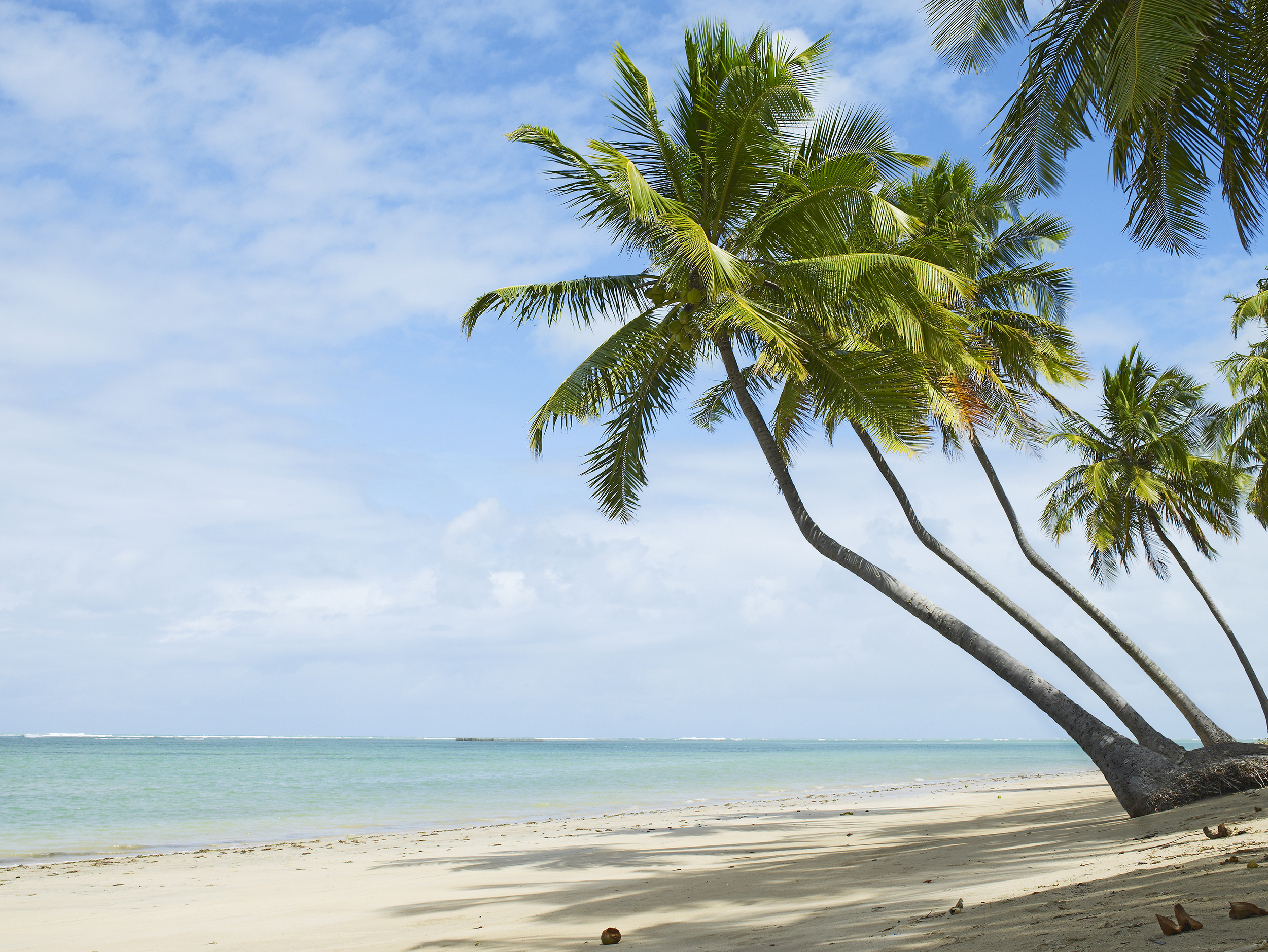 Alagoas