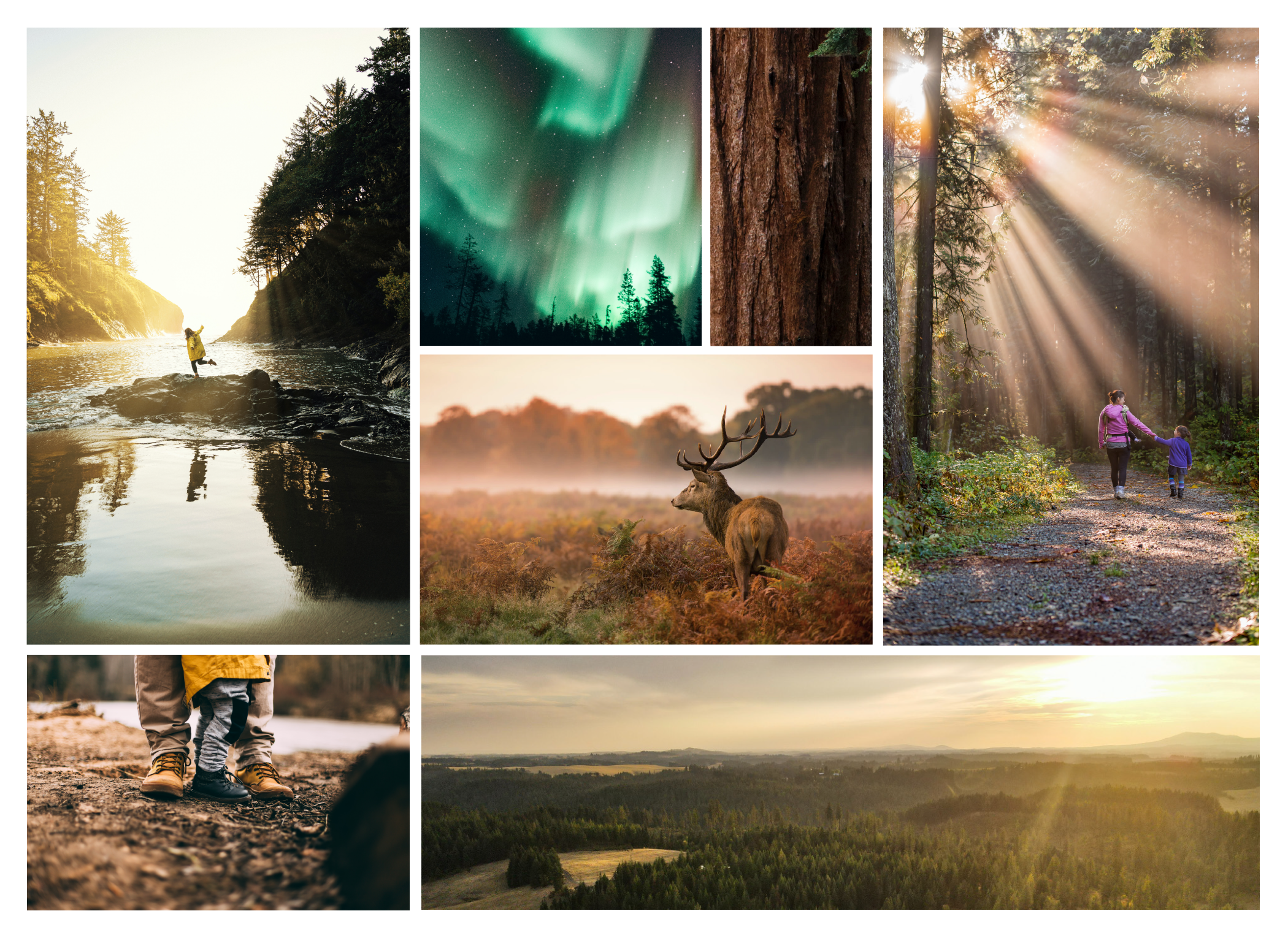 Suncadia_Imagery.png