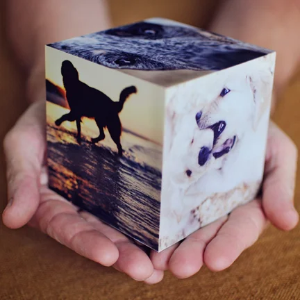 Photo Cube Souvenir